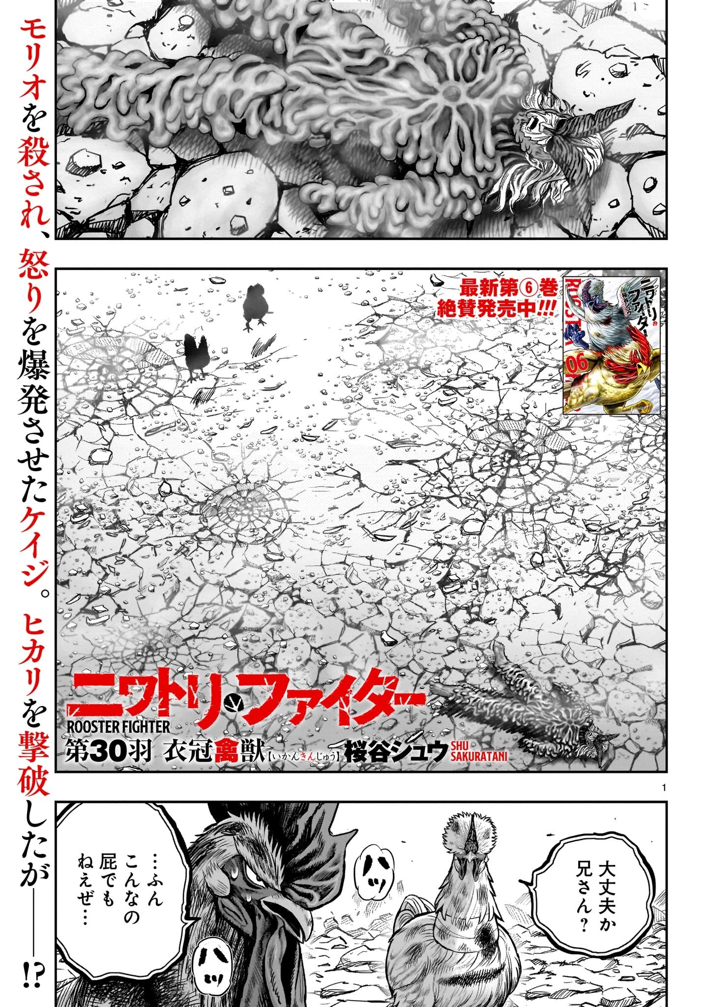 ニワトリ・ファイター 第30話 - 1