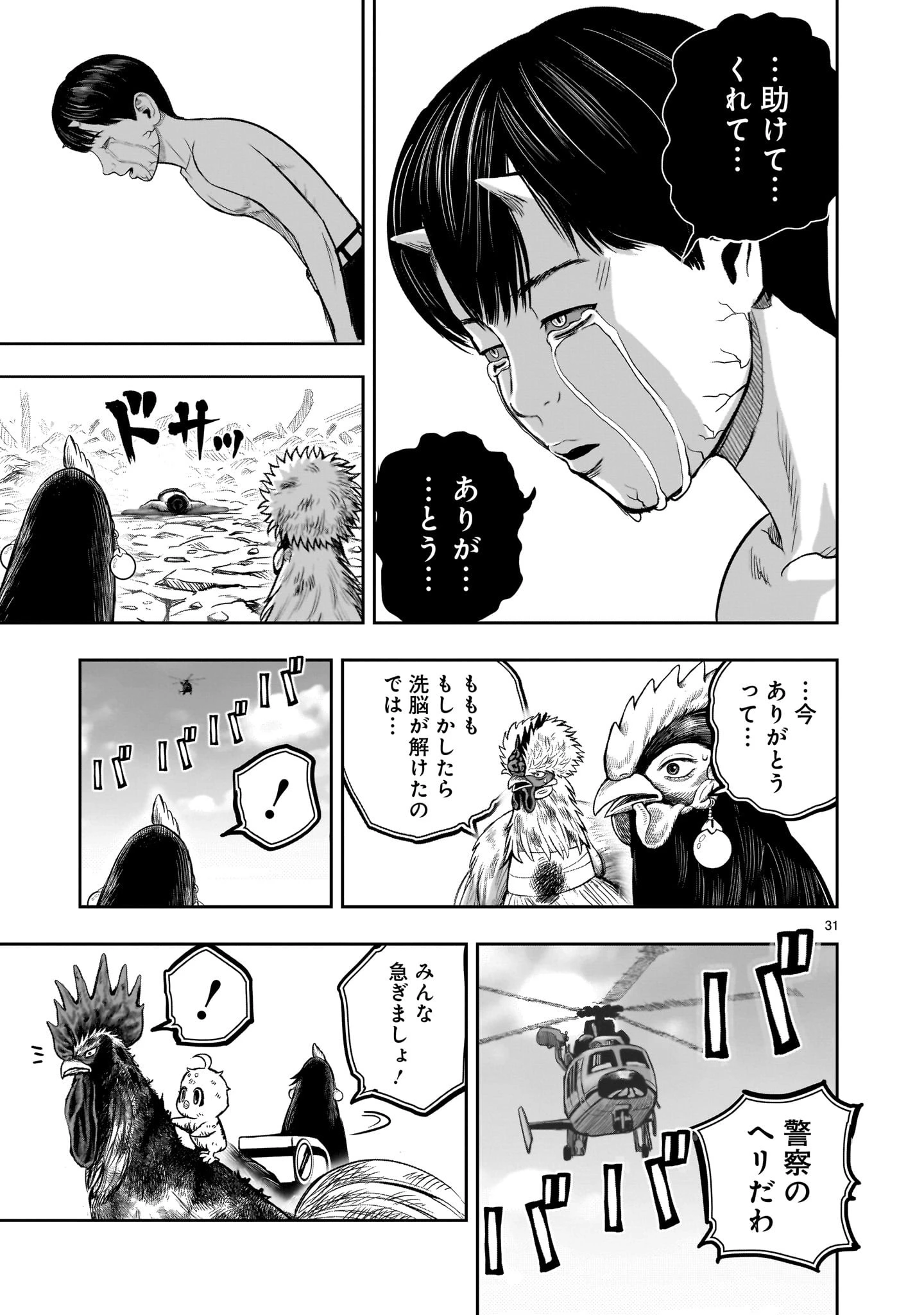ニワトリ・ファイター 第30話 - 31