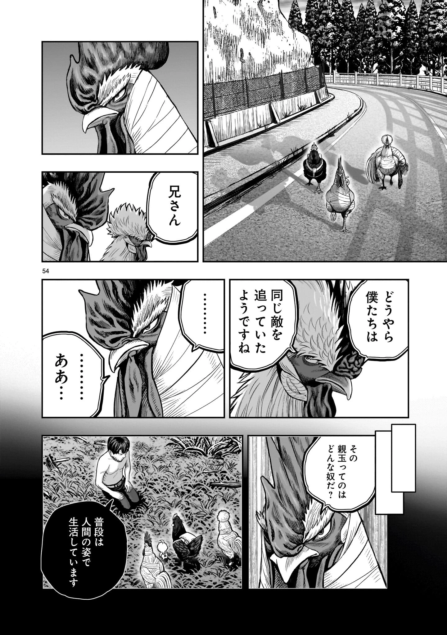 ニワトリ・ファイター 第30話 - 54