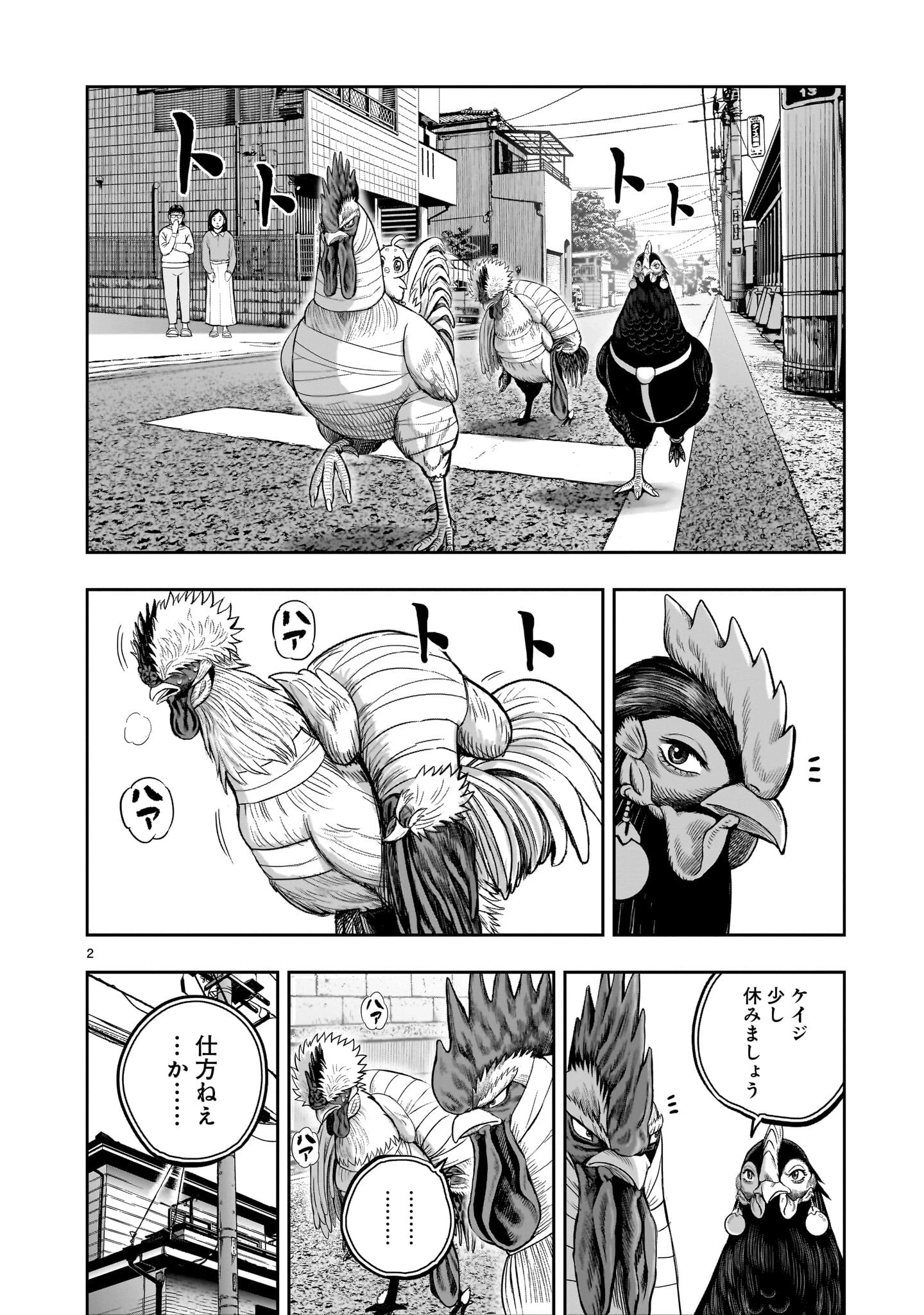 ニワトリ・ファイター 第31話 - 2