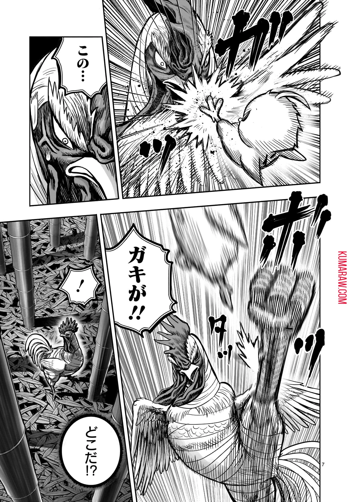 ニワトリ・ファイター 第33話 - 7