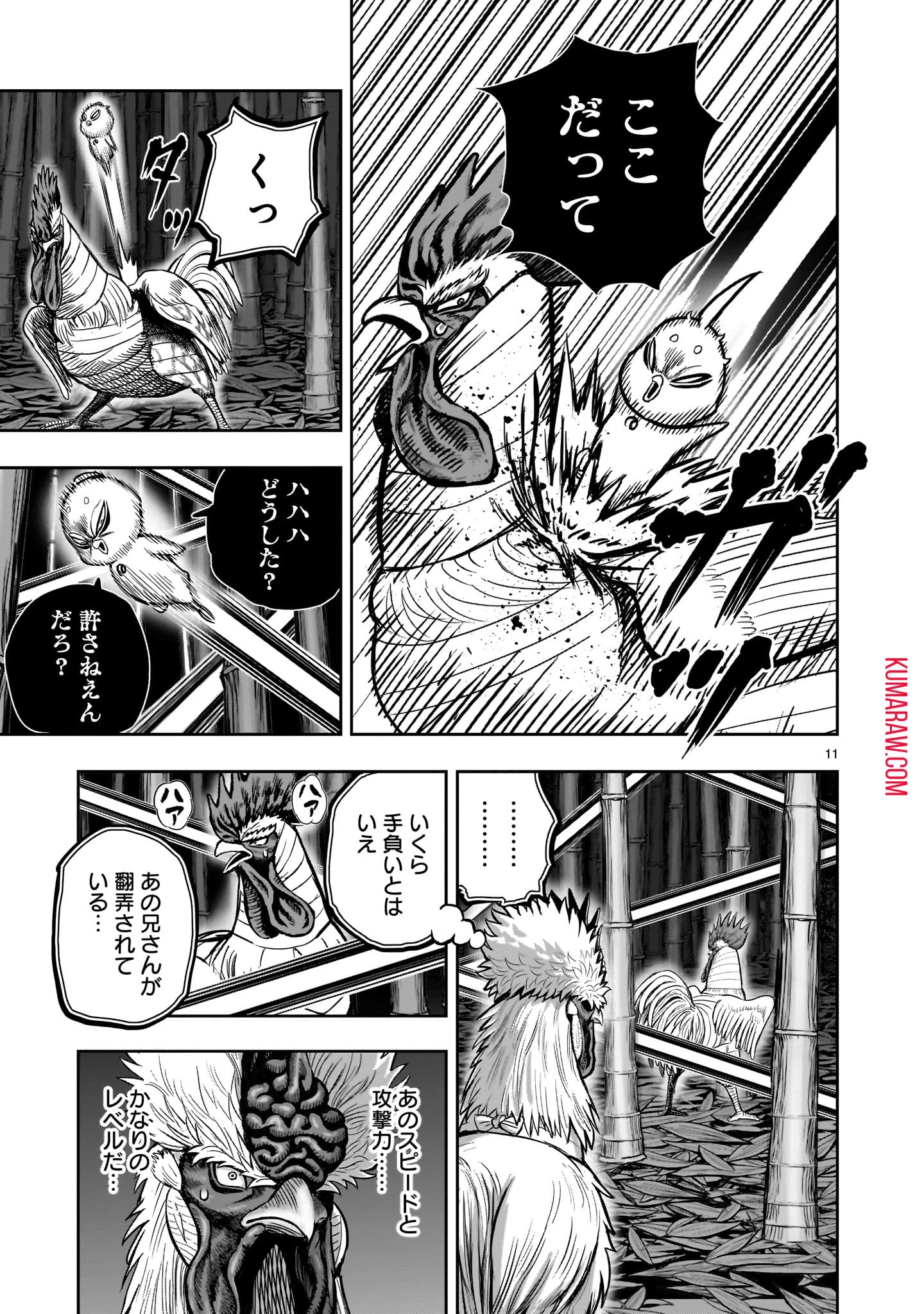 ニワトリ・ファイター 第33話 - 11