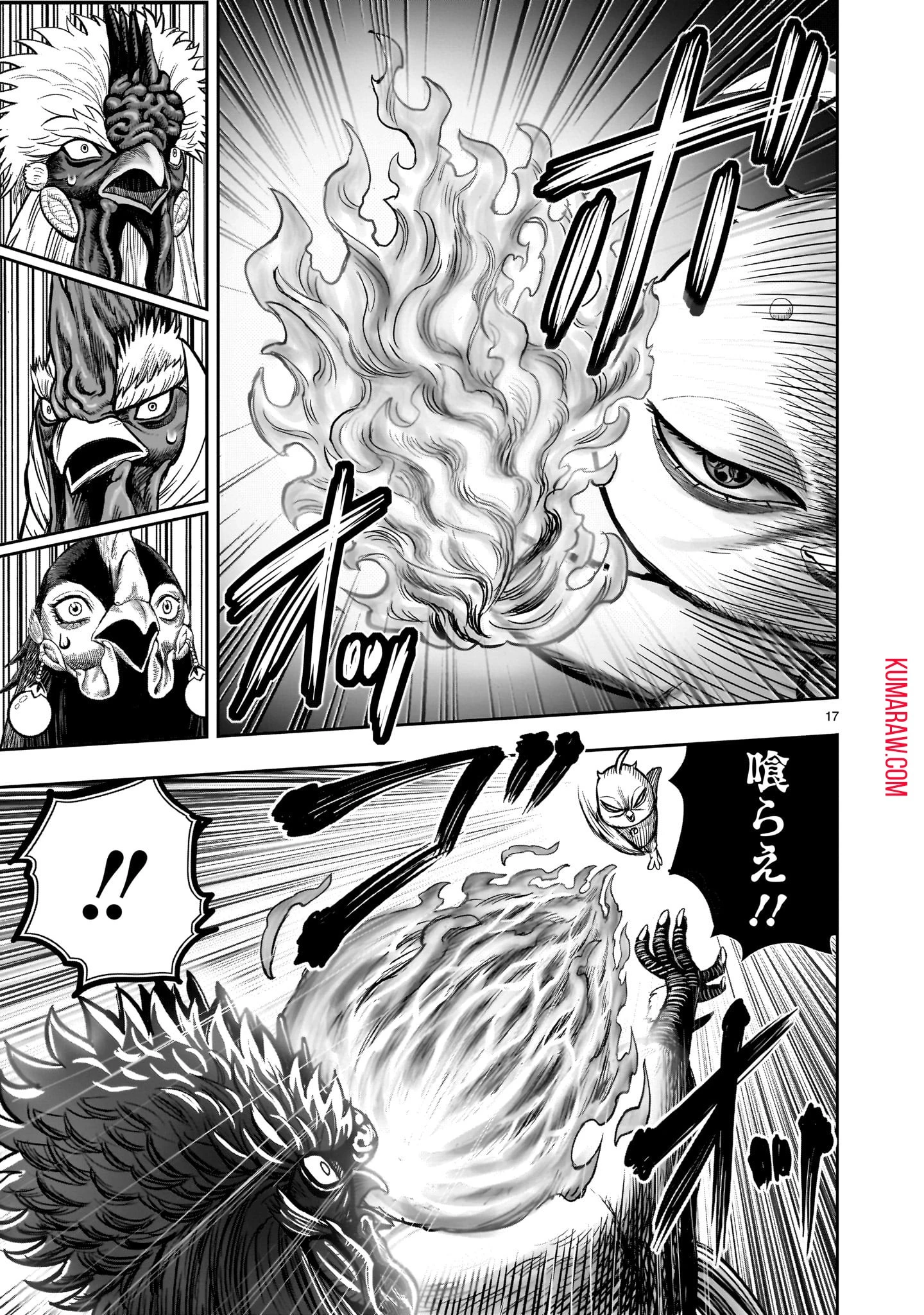 ニワトリ・ファイター 第33話 - 17