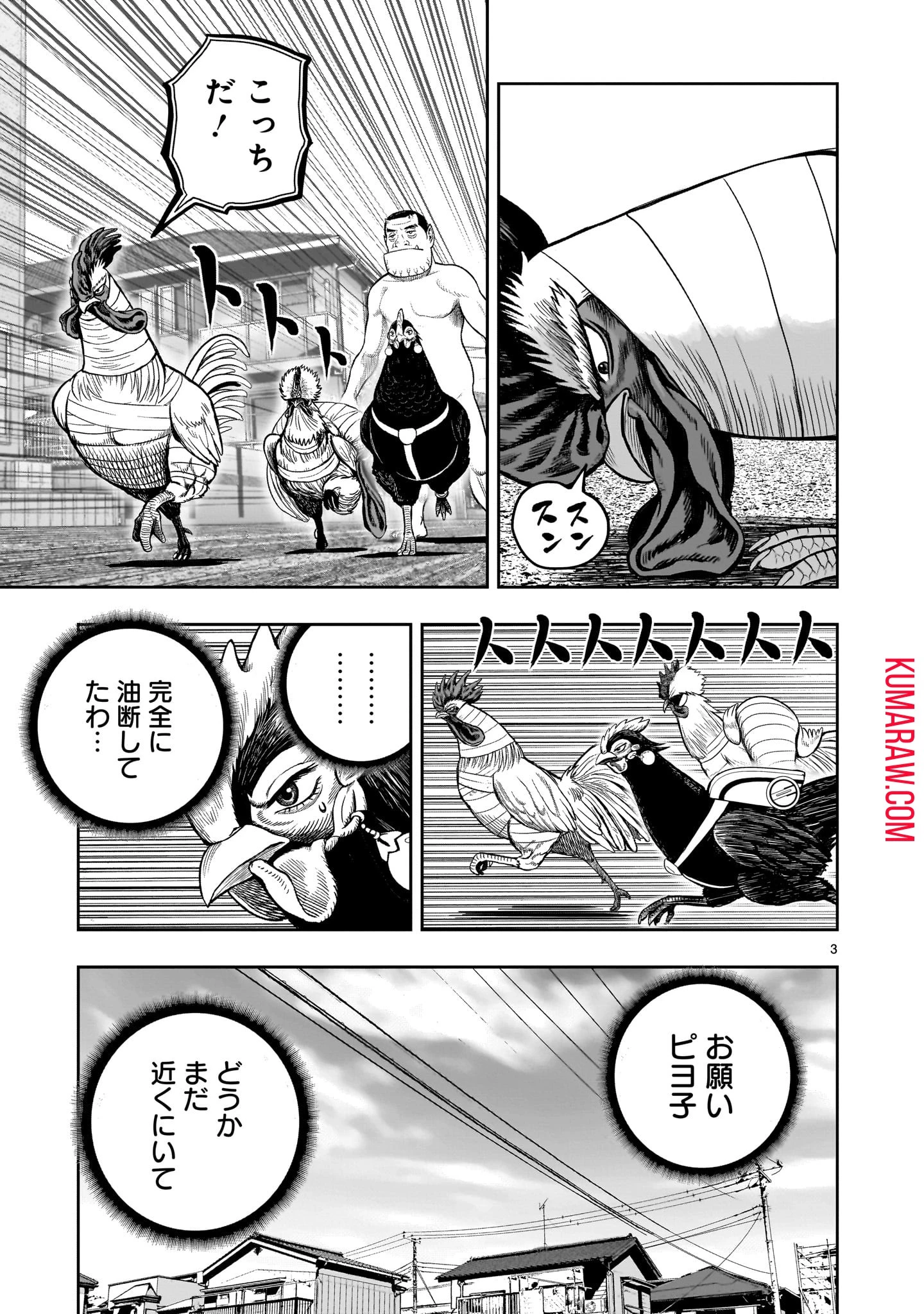 ニワトリ・ファイター 第34話 - 3