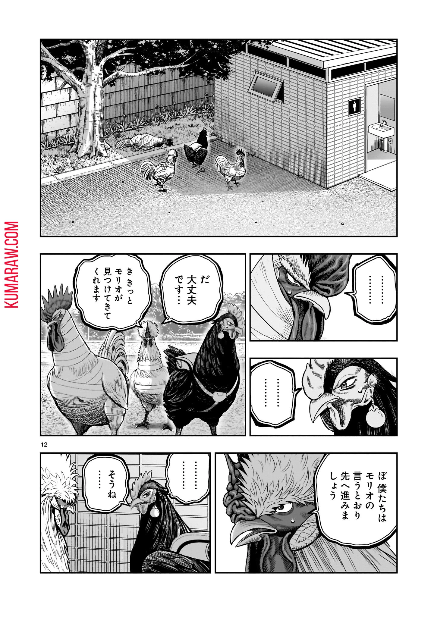 ニワトリ・ファイター 第34話 - 12