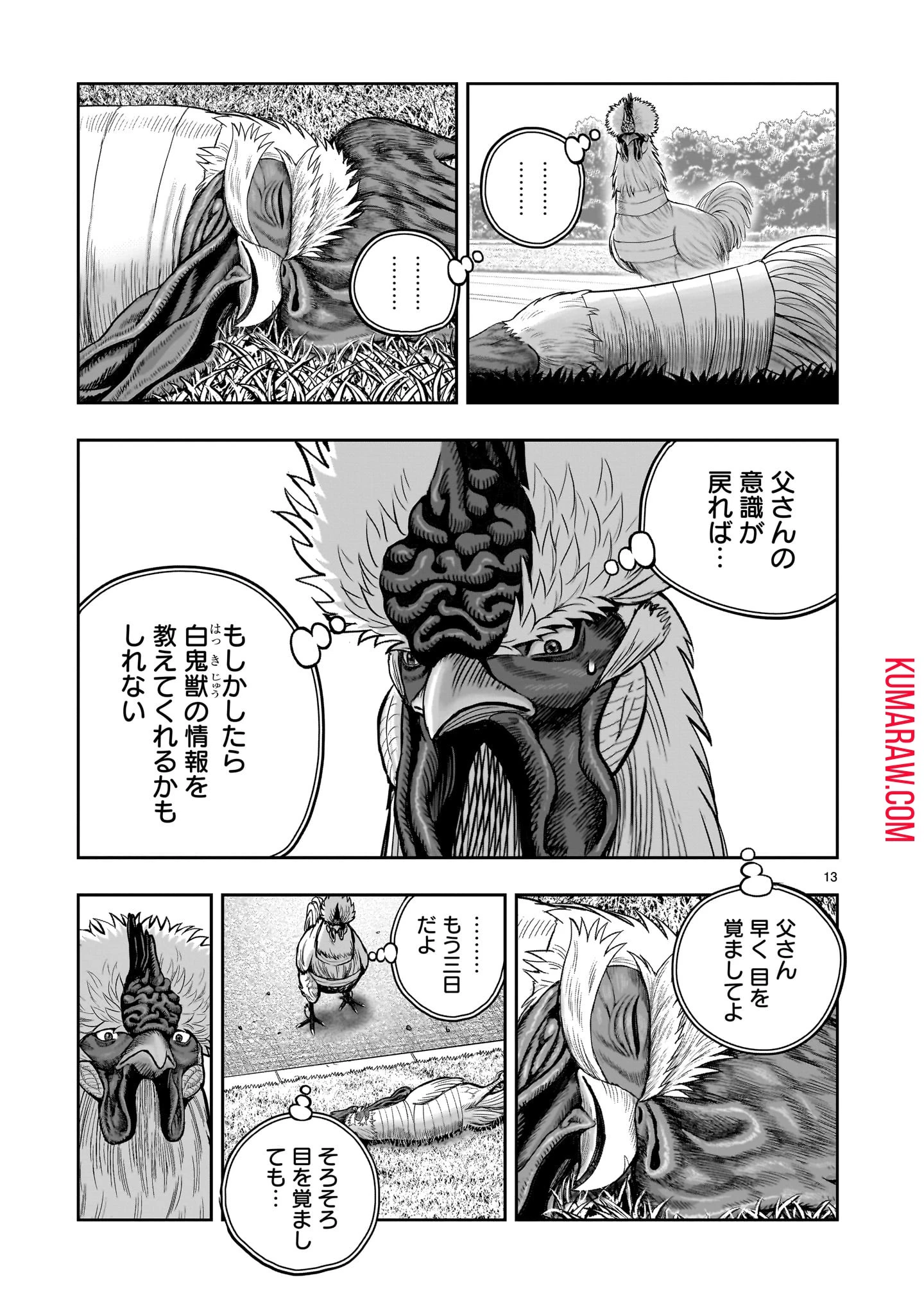 ニワトリ・ファイター 第34話 - 13