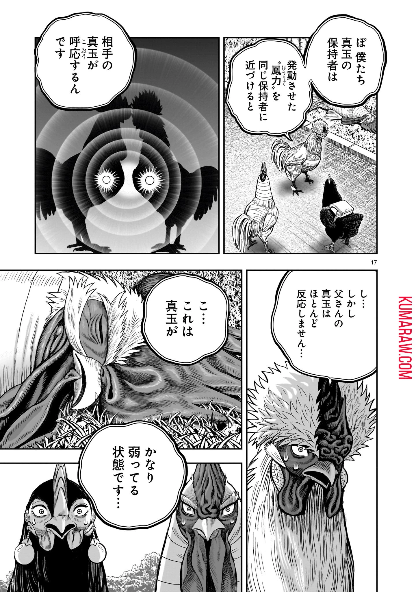 ニワトリ・ファイター 第34話 - 17