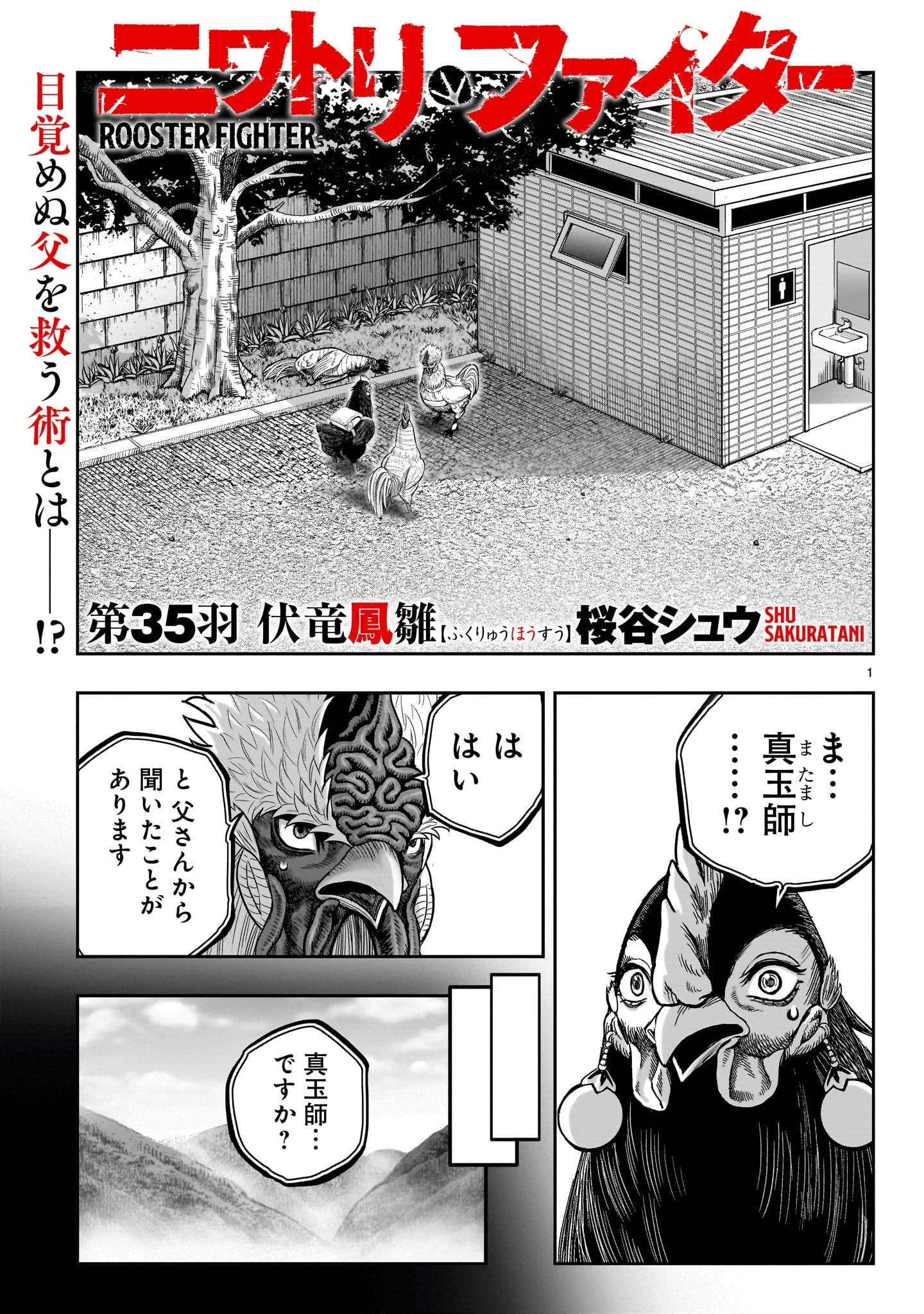 ニワトリ・ファイター 第35話 - 1