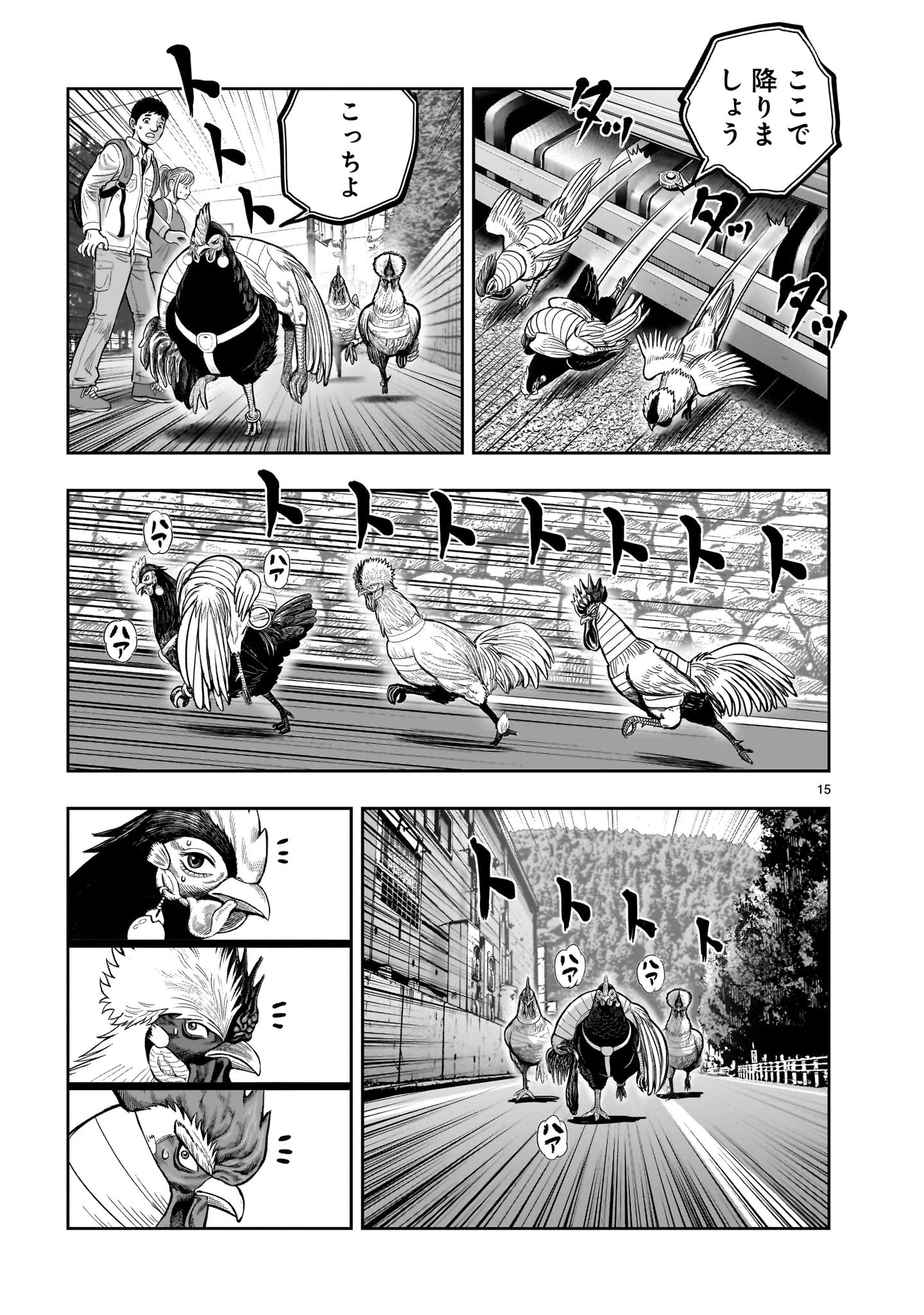 ニワトリ・ファイター 第36話 - 15