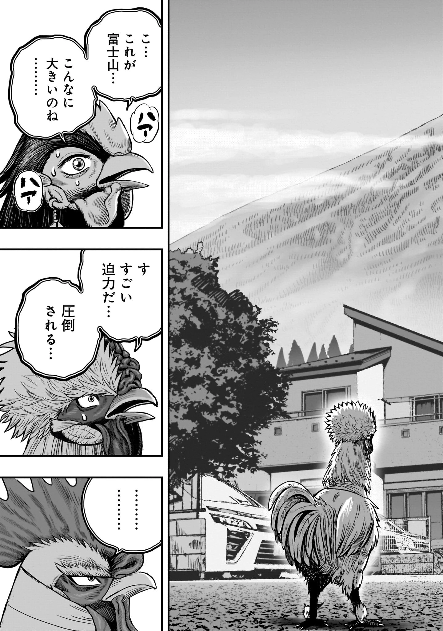ニワトリ・ファイター 第36話 - 17
