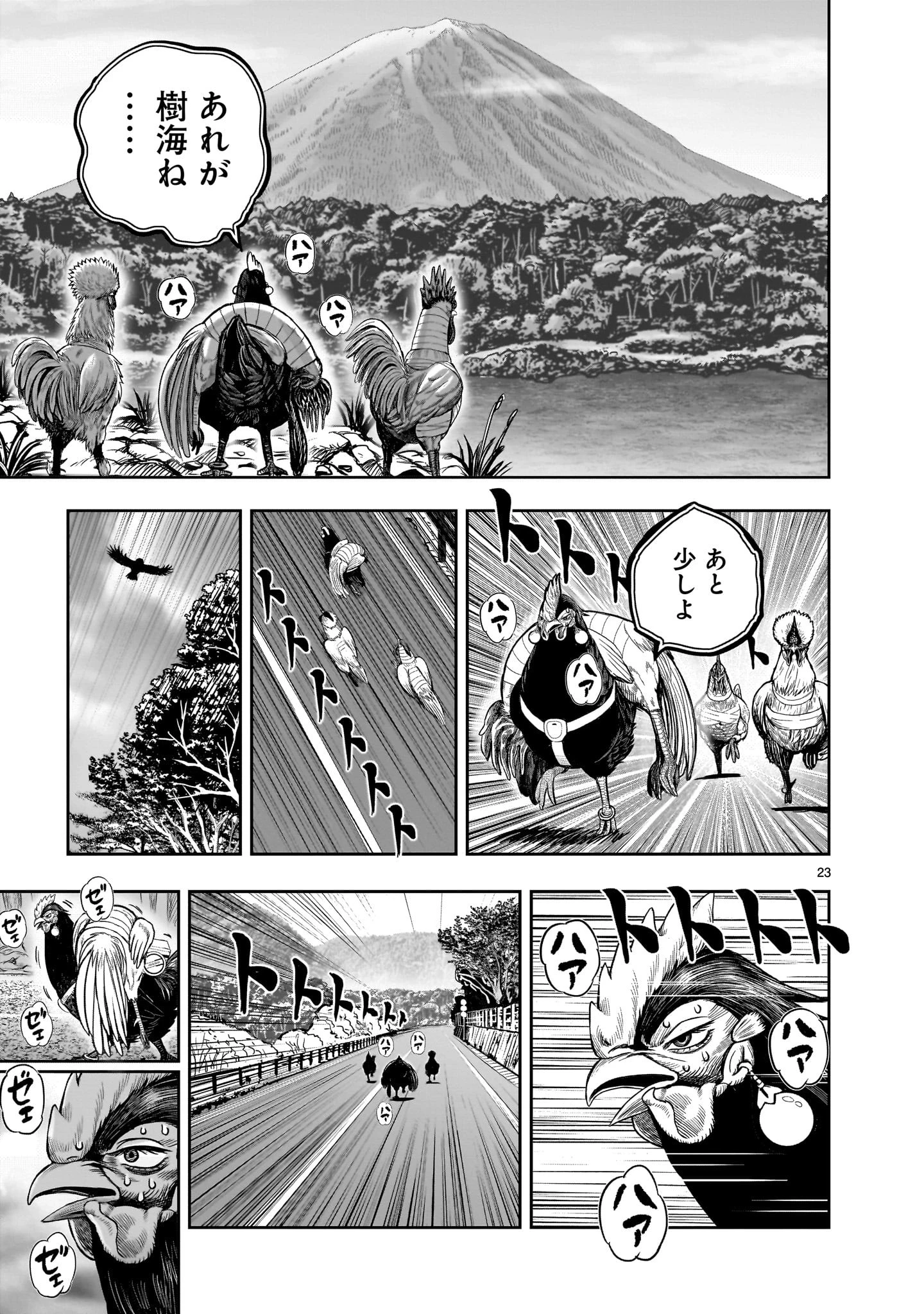 ニワトリ・ファイター 第36話 - 23
