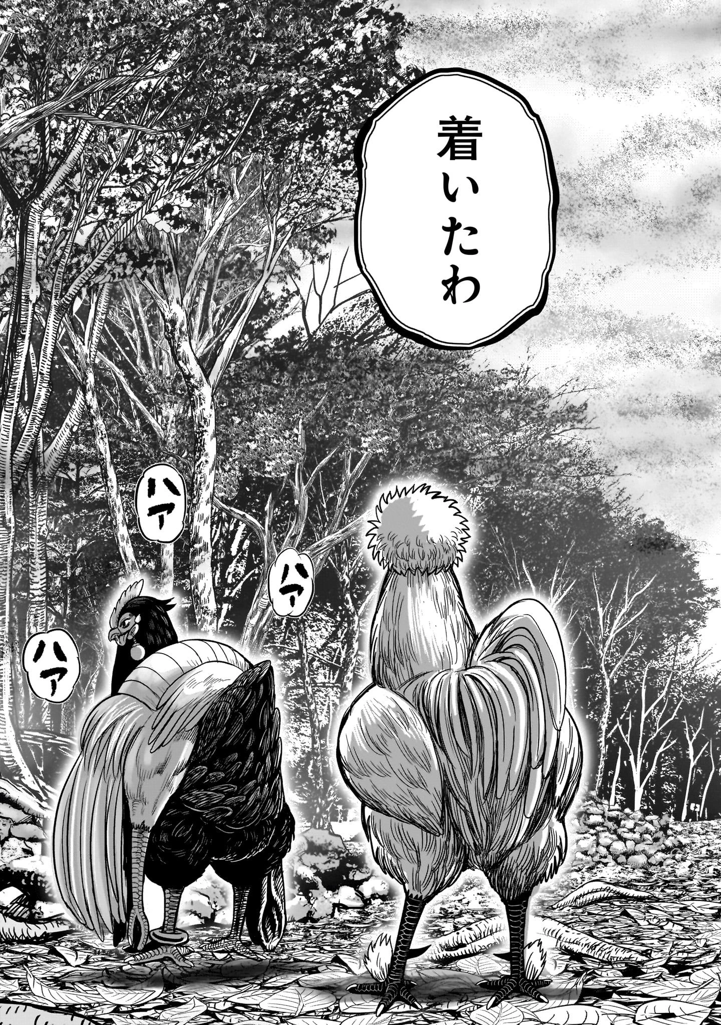 ニワトリ・ファイター 第36話 - 24