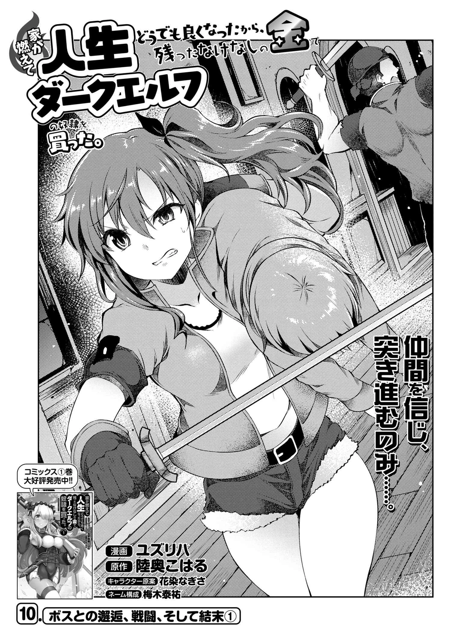 家が燃えて人生どうでも良くなったから、残ったなけなしの金でダークエルフの奴隷を買った。 第10話 - 1