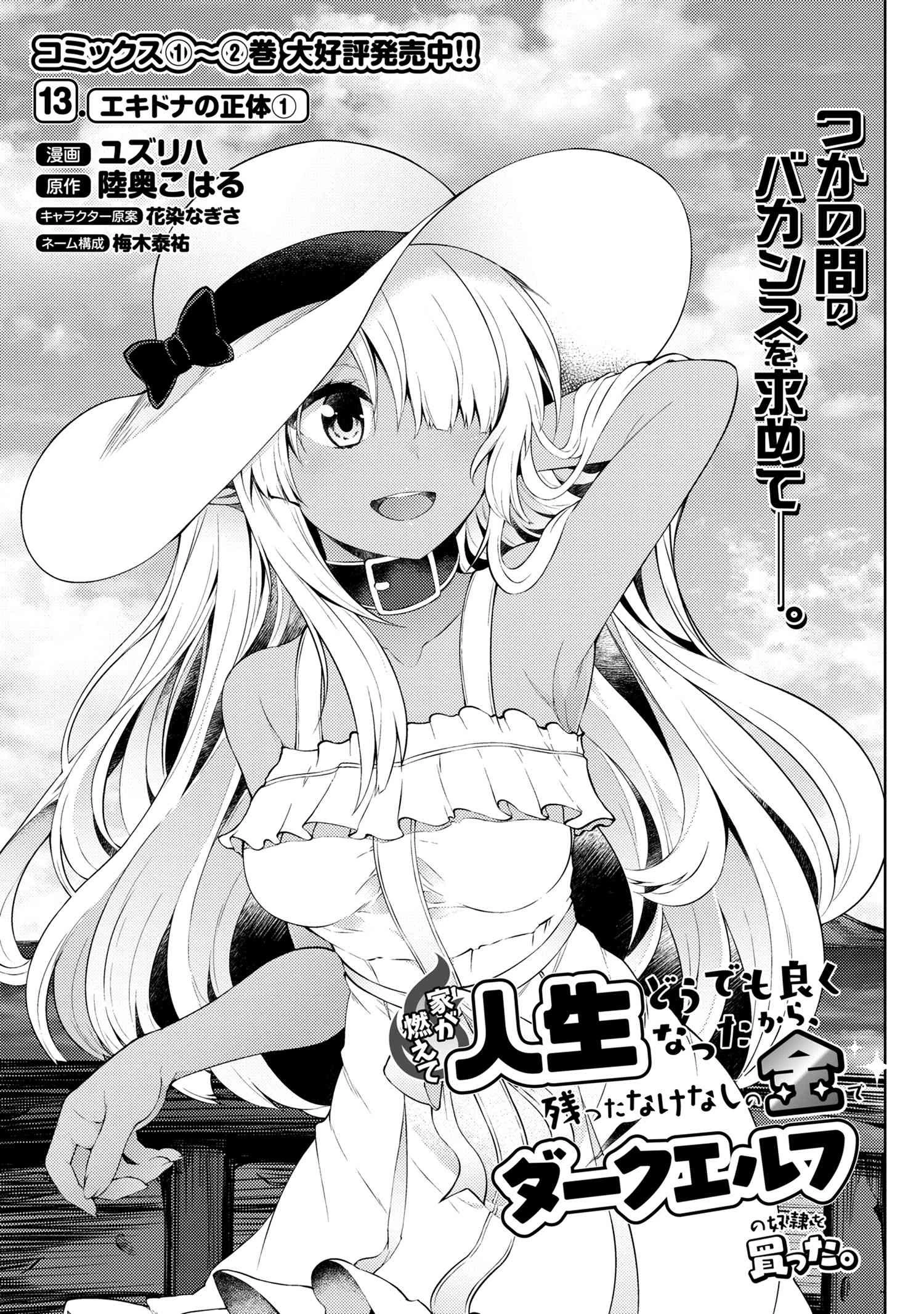 家が燃えて人生どうでも良くなったから、残ったなけなしの金でダークエルフの奴隷を買った。 第13話 - 1