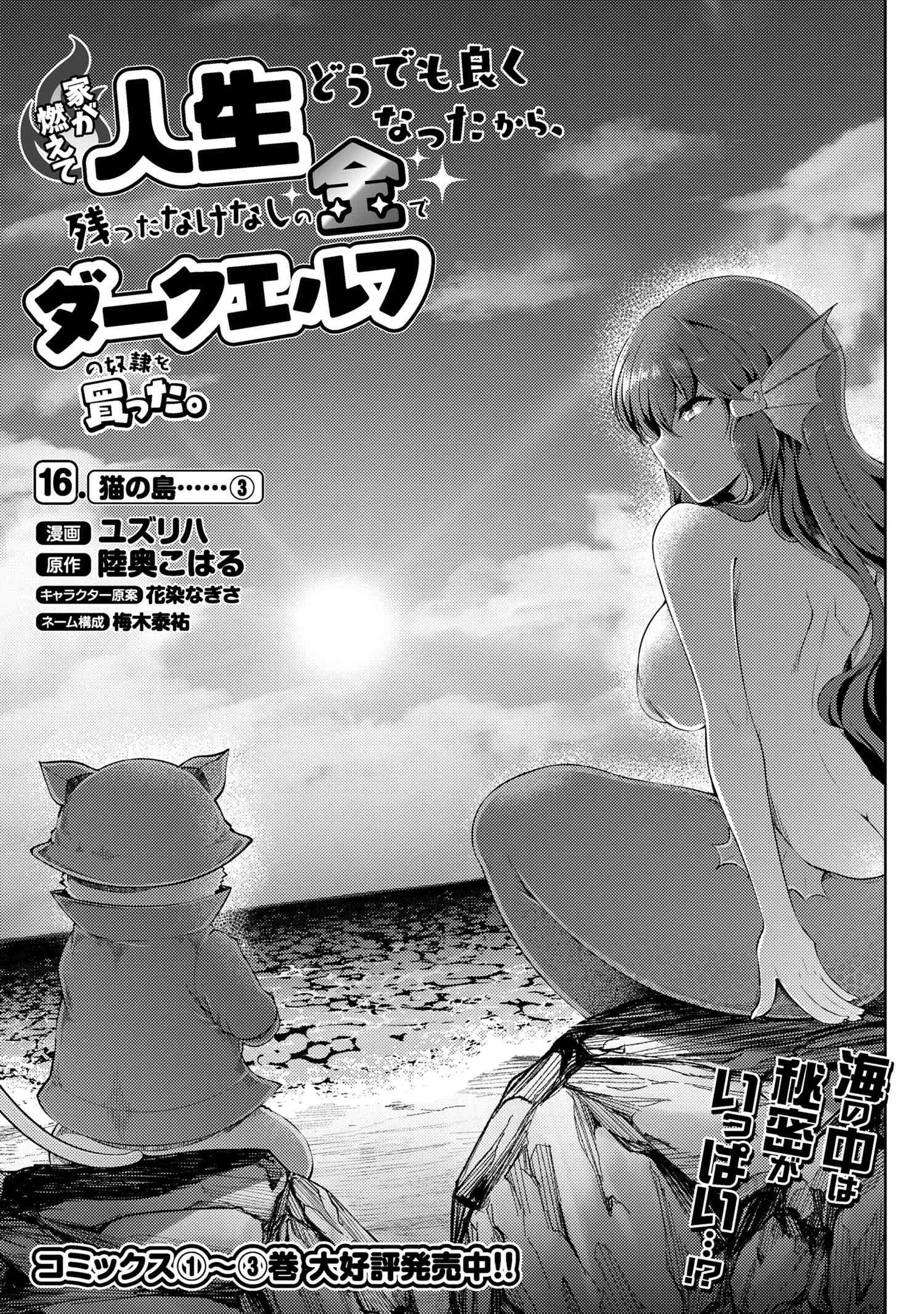 家が燃えて人生どうでも良くなったから、残ったなけなしの金でダークエルフの奴隷を買った。 第16話 - 1