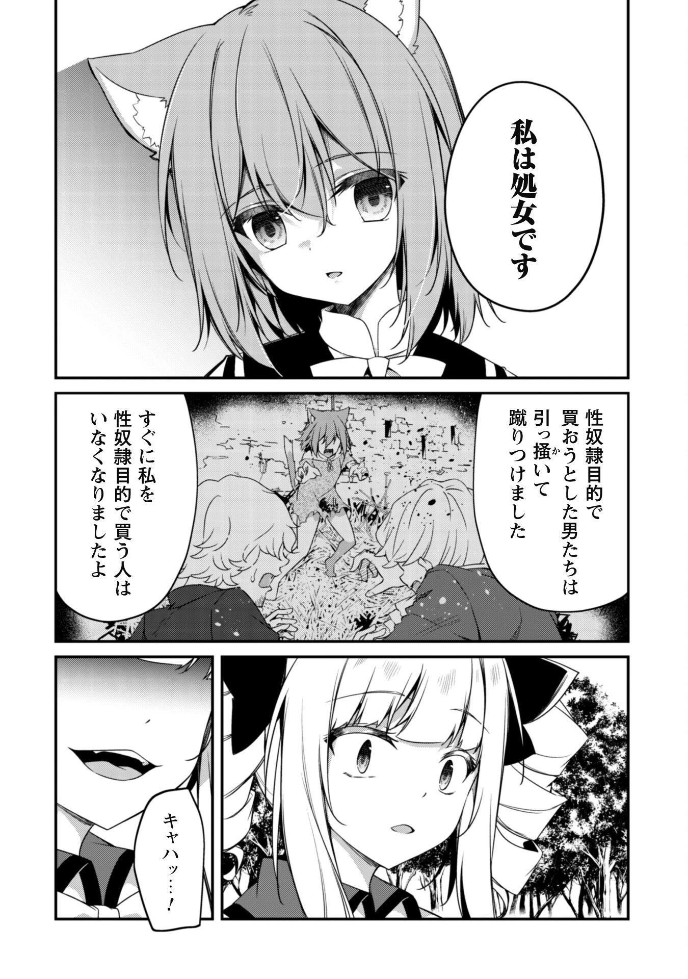 レベル１から始まる召喚無双 第14話 - 17