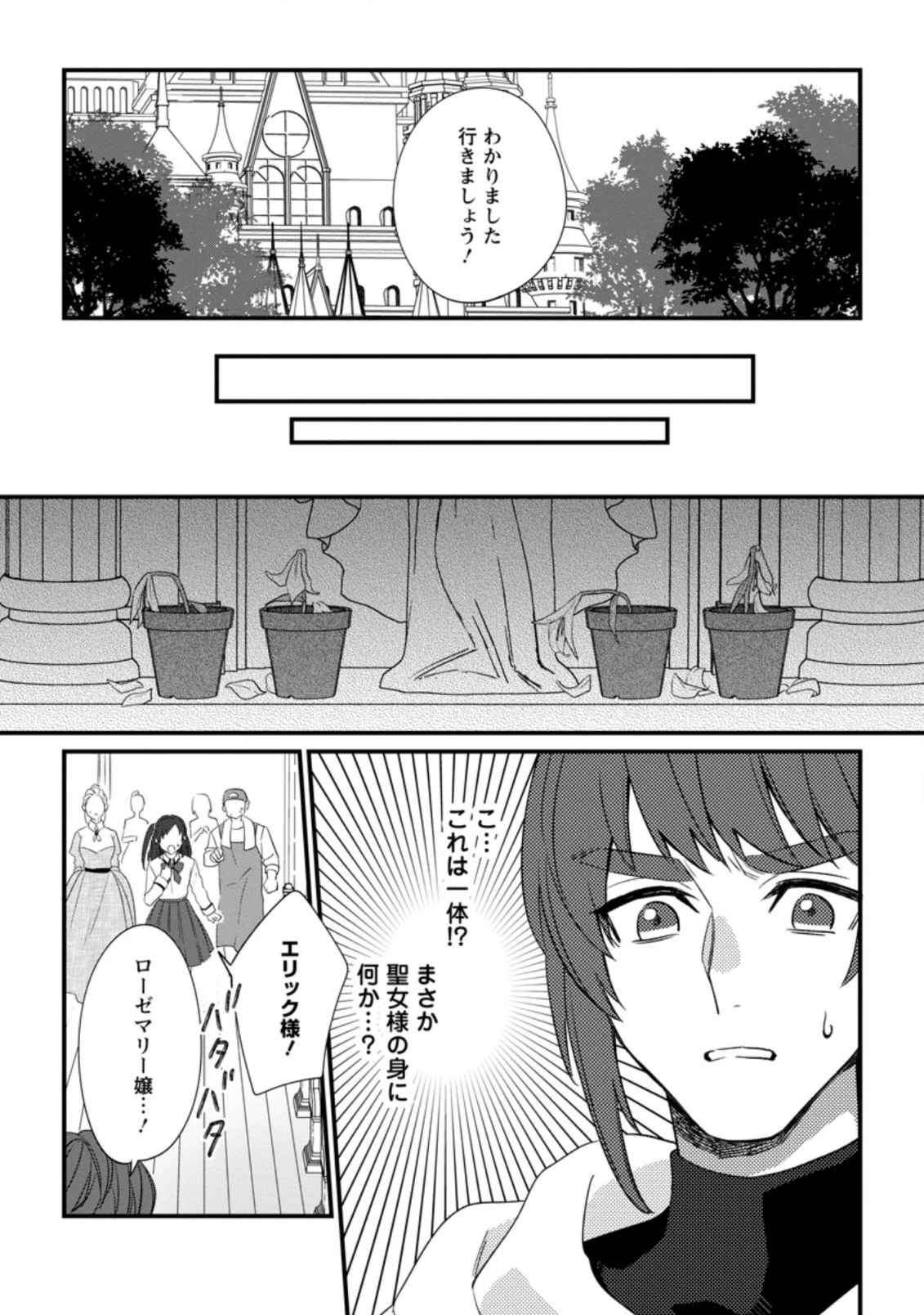 王妃になる予定でしたが、偽聖女の汚名を着せられたので逃亡したら、皇太子に溺愛されました。そちらもどうぞお幸せに。 第14話 - 2