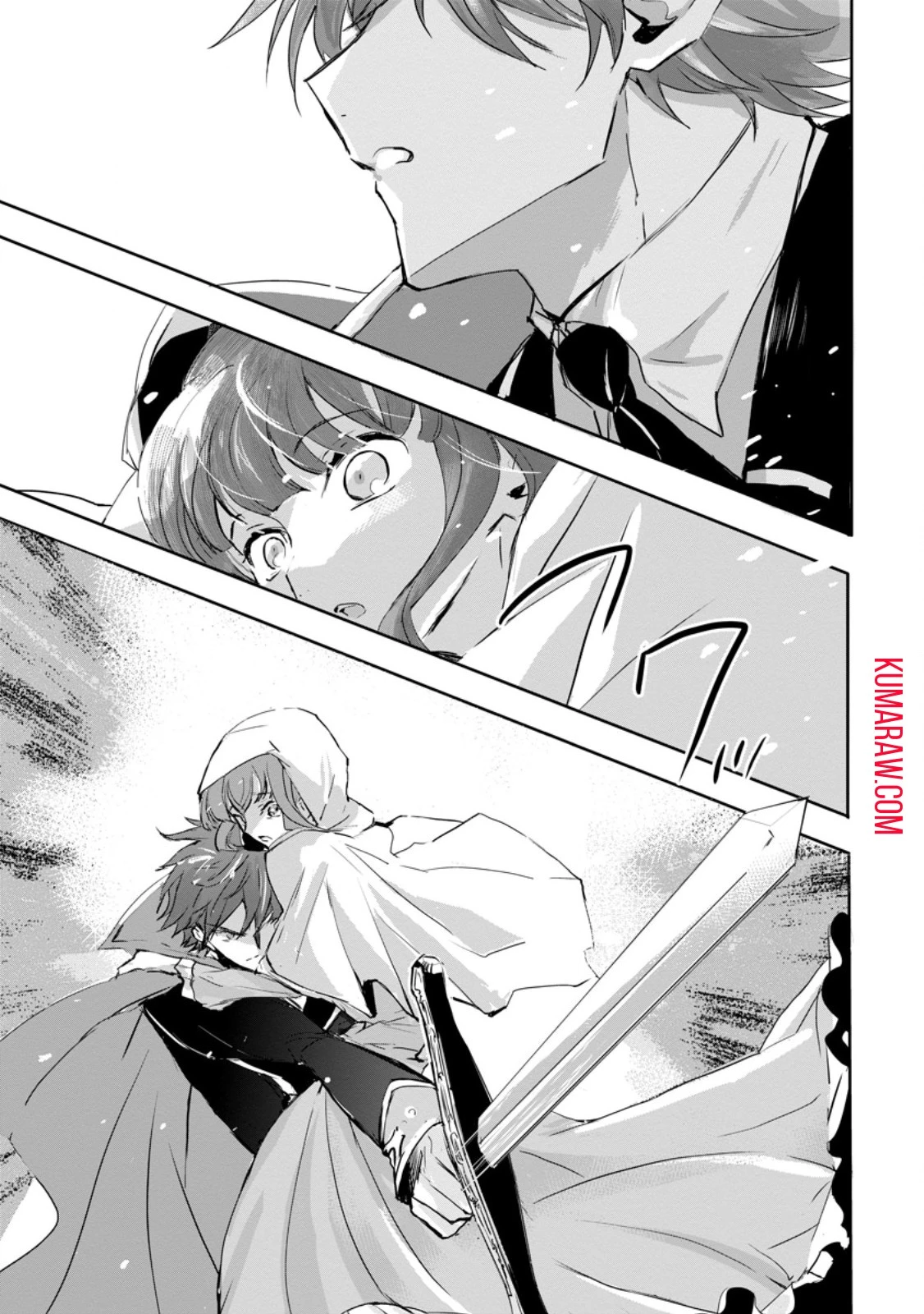 「お前が代わりに死ね」と言われた私。妹の身代わりに冷酷な辺境伯のもとへ嫁ぎ、幸せを手に入れる 第1話 - 29