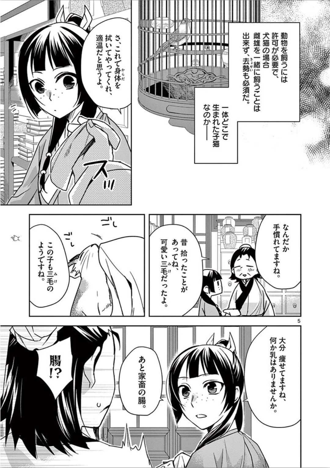 薬屋のひとりごと～猫猫の後宮謎解き手帳～ The Apothecarys Monologue (KURATA Minoji) 第32話 - 5
