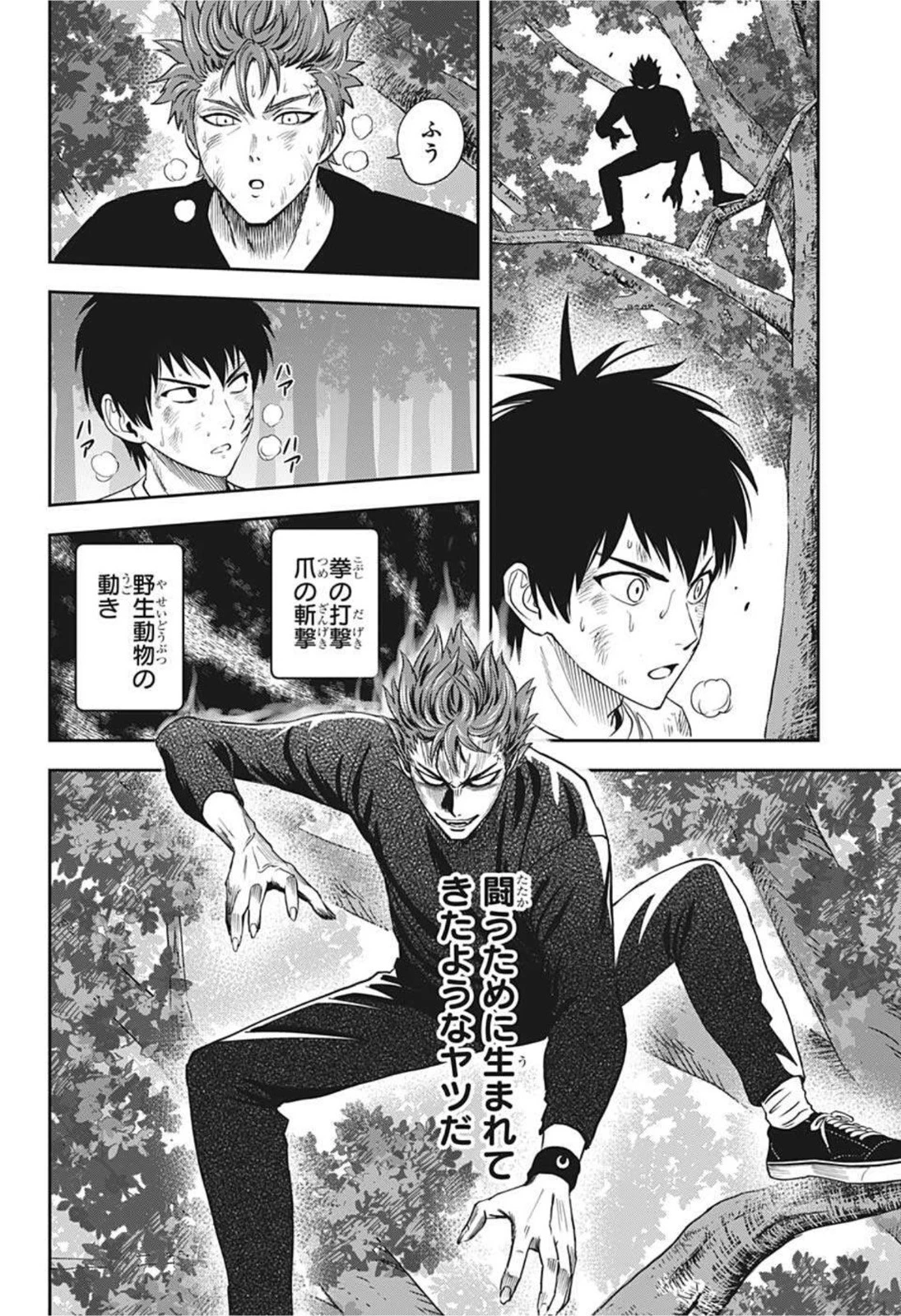 ウィッチウォッチ 第27話 - 10