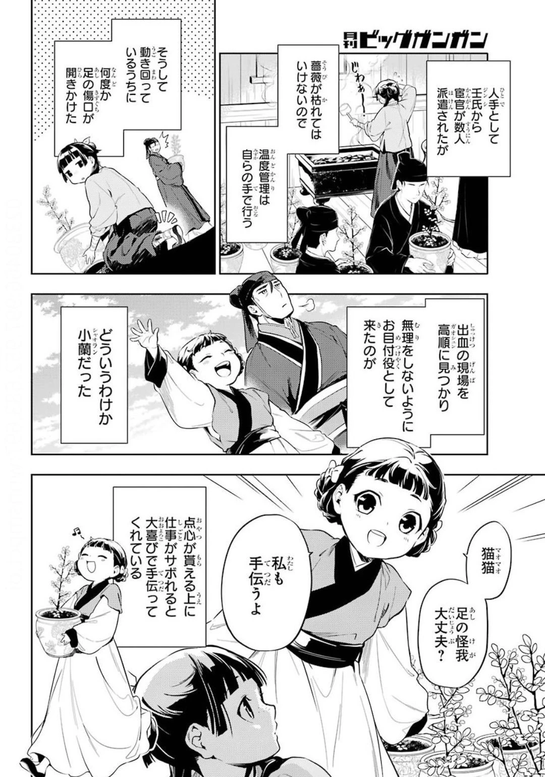薬屋のひとりごと 第36話 - 10