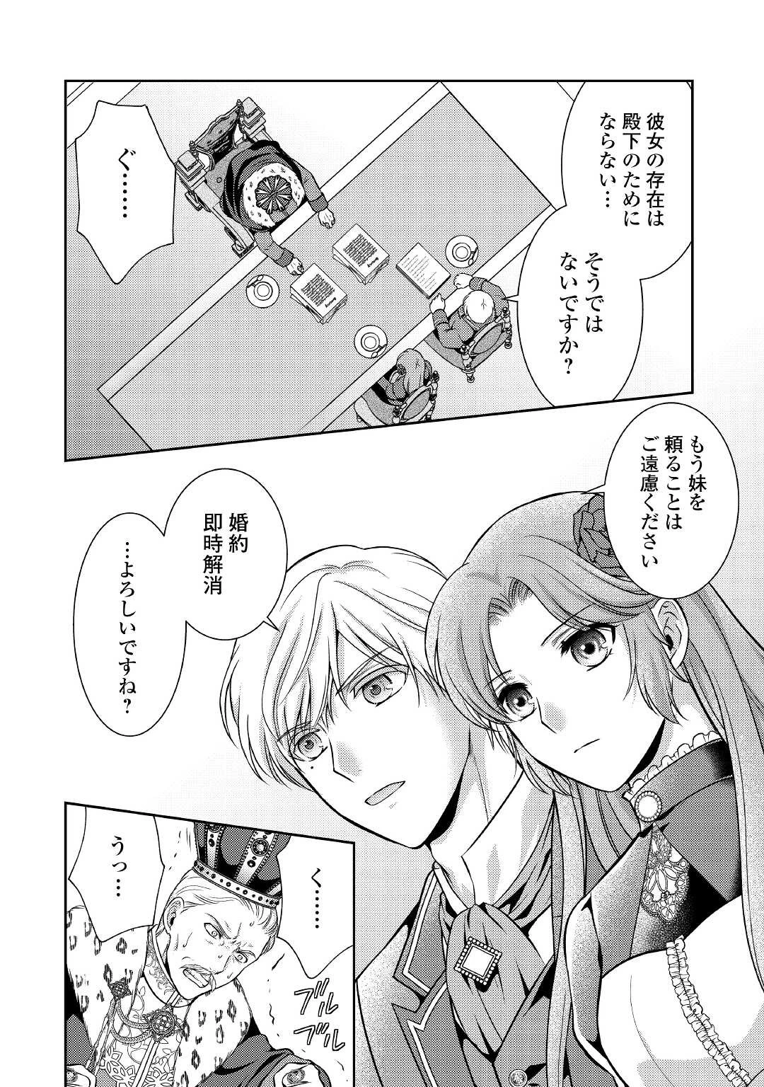 可愛い義妹が婚約破棄されたらしいので、今から「御礼」に参ります。 第3話 - 27