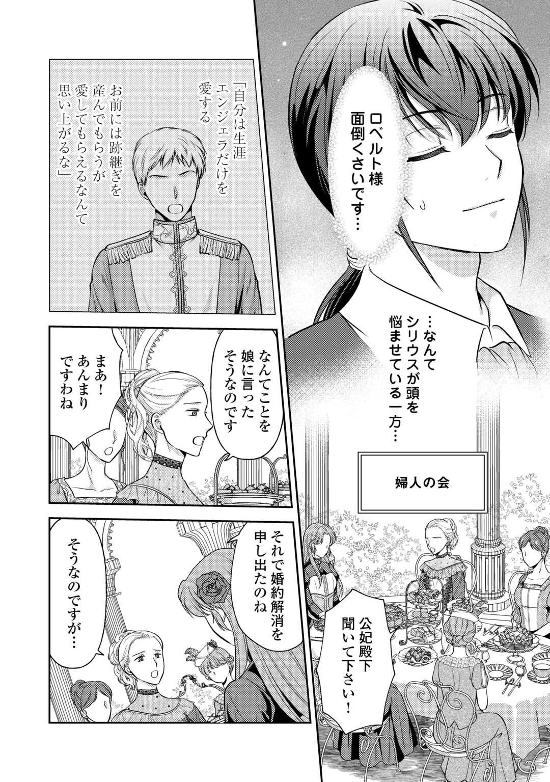可愛い義妹が婚約破棄されたらしいので、今から「御礼」に参ります。 第12話 - 6