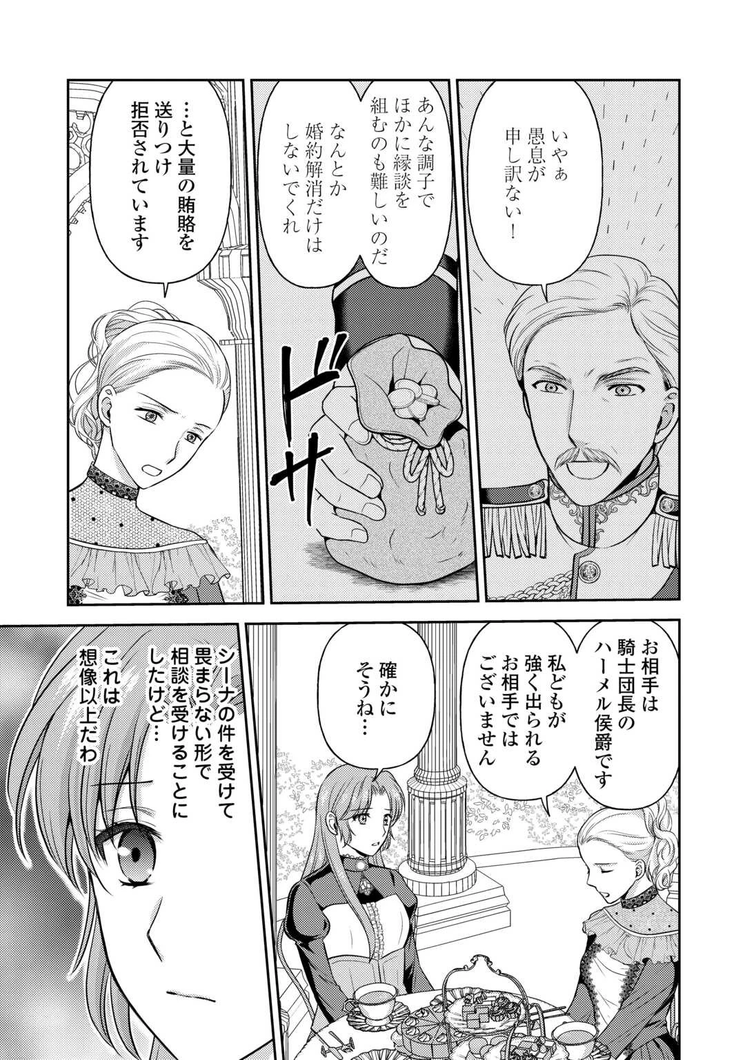可愛い義妹が婚約破棄されたらしいので、今から「御礼」に参ります。 第12話 - 7