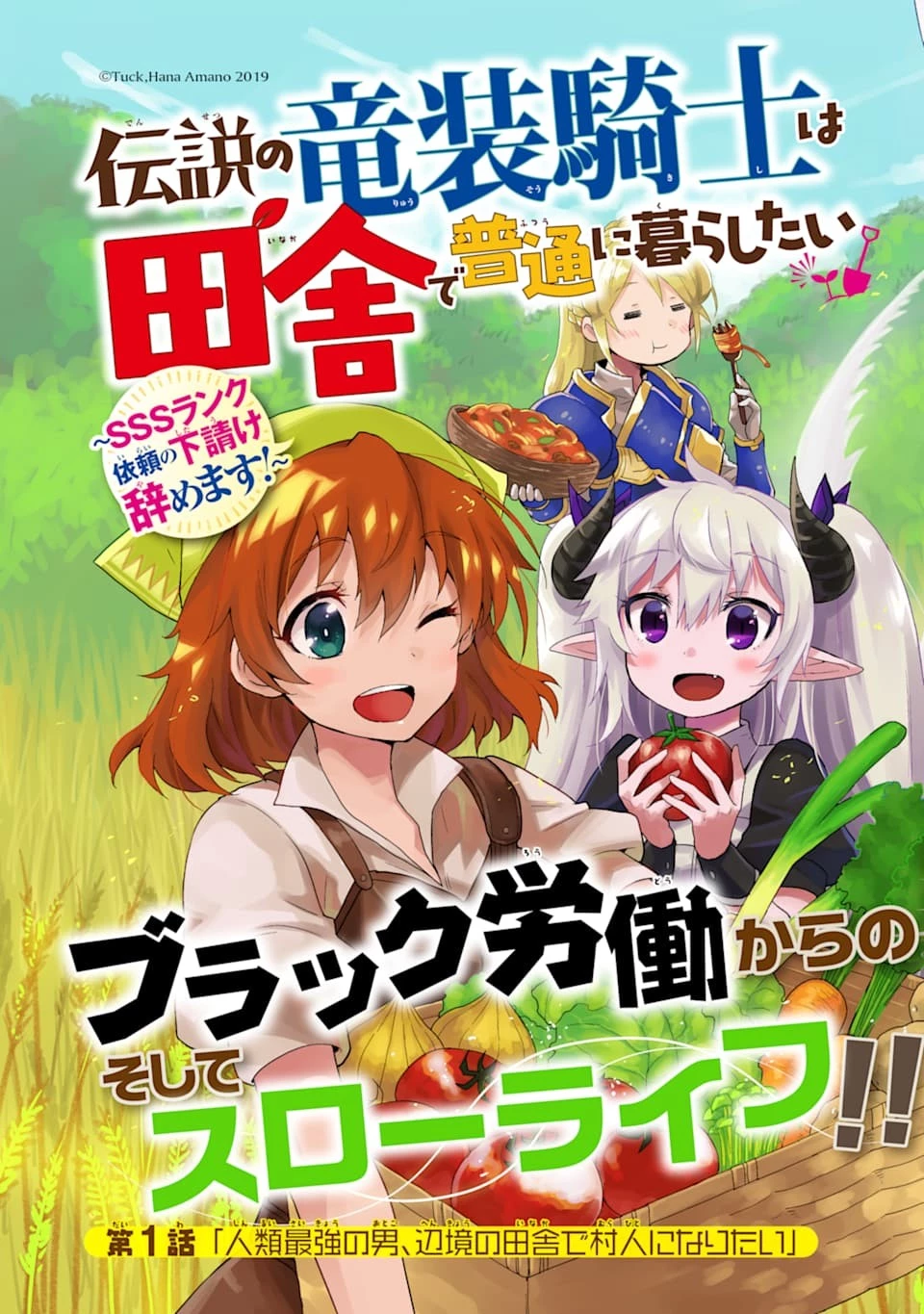 伝説の竜装騎士は田舎で普通に暮らしたい 第1話 - 3