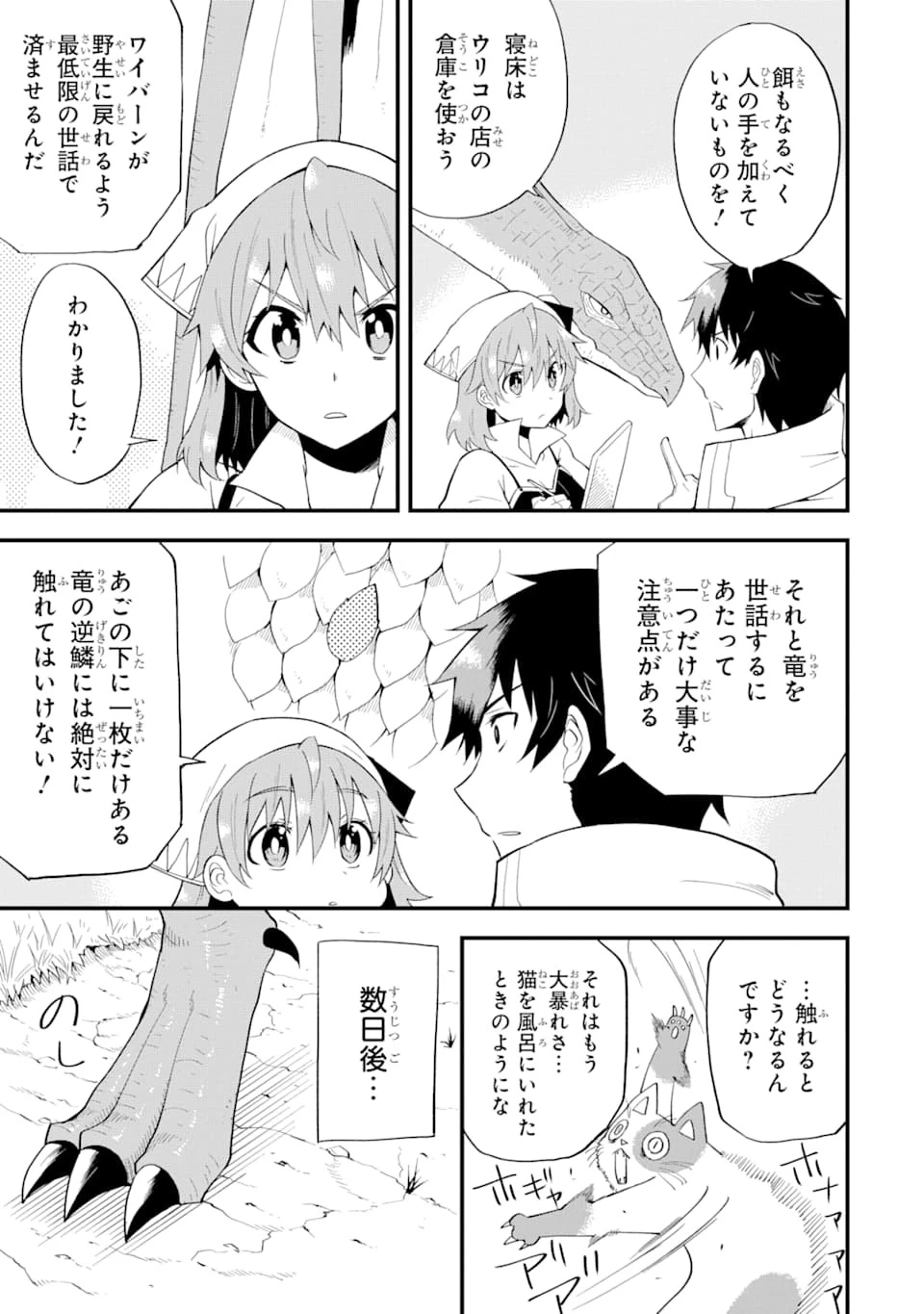 伝説の竜装騎士は田舎で普通に暮らしたい 第6話 - 9