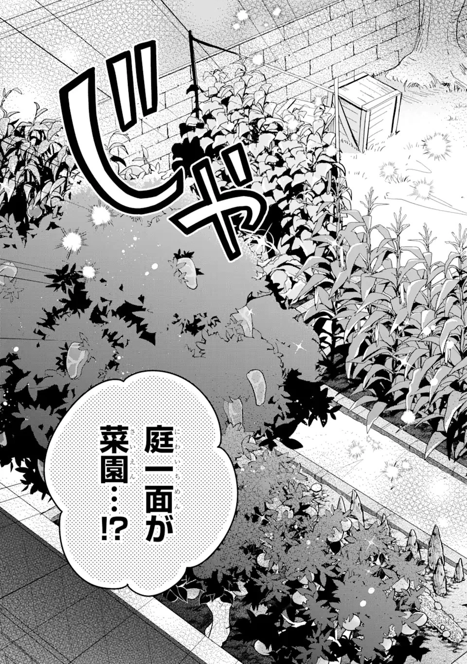 栽培チートで最強菜園～え、ただの家庭菜園ですけど？～ 第2話 - 19