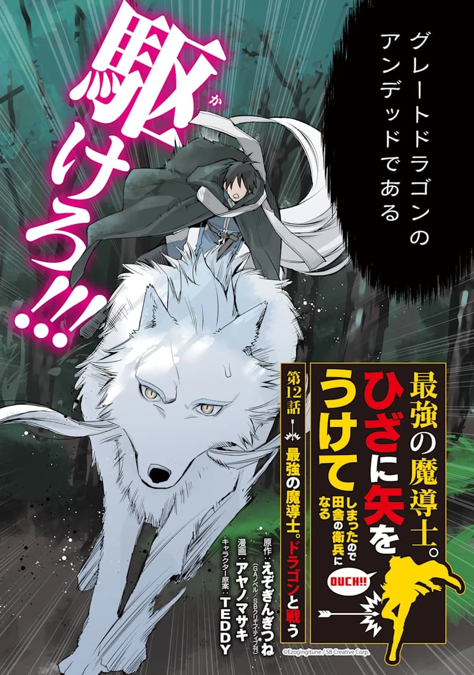 最強の魔導士。ざに矢をうけてしまったので田舎の衛兵になる 第12話 - 2