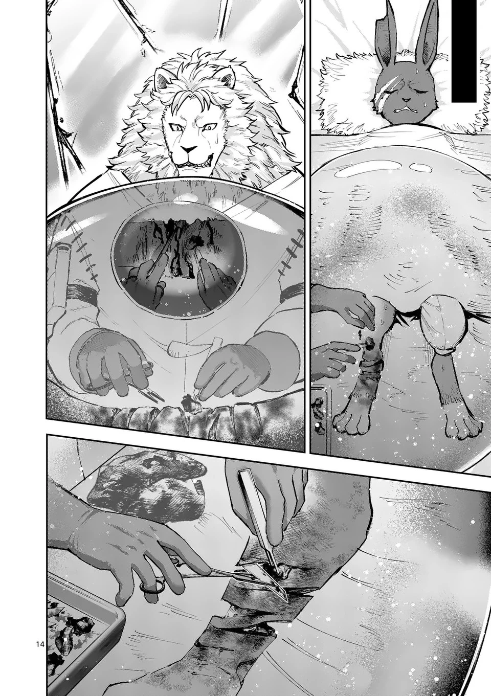 獣王と薬草 第18話 - 14