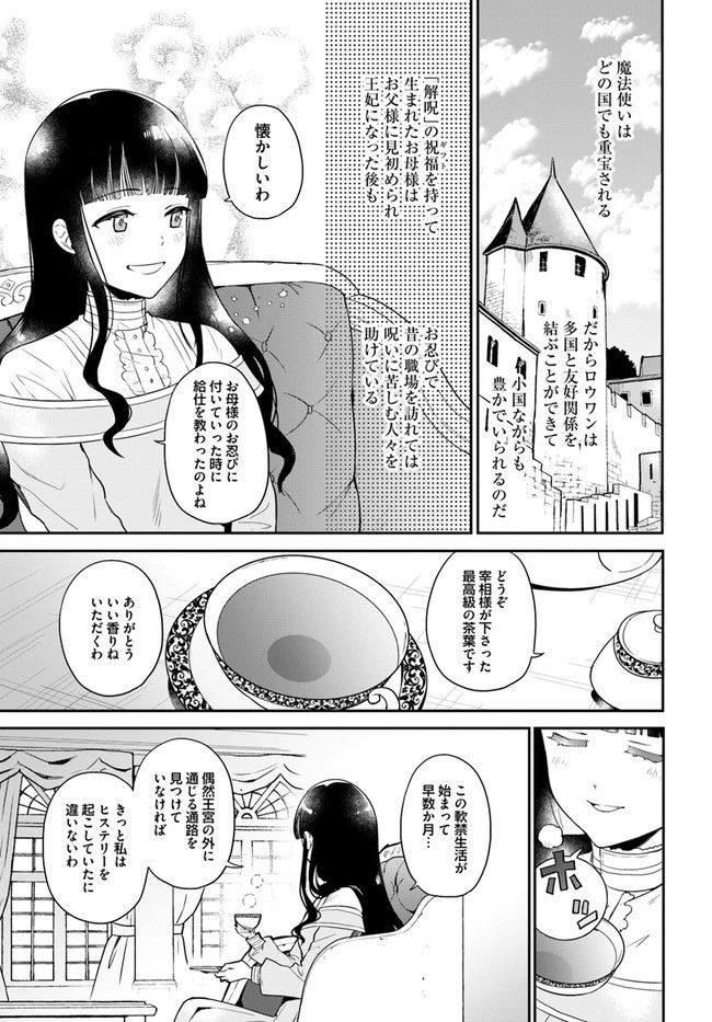お飾り王妃になったので、こっそり働きに出ることにしました お飾り王妃になったので、こっそり働きに出ることにしました ～うさぎがいるので独り寝も寂しくありません！ 第1話 - 25