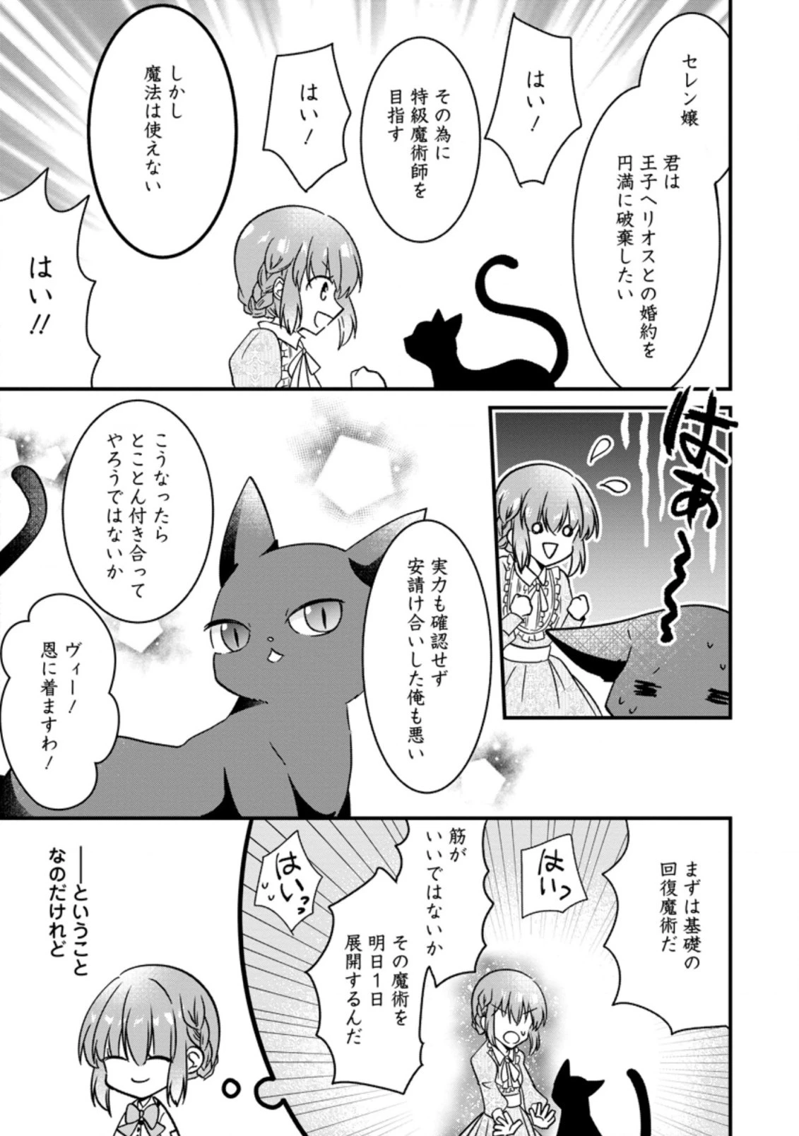 地味姫と黒猫の、円満な婚約破棄 第2話 - 4