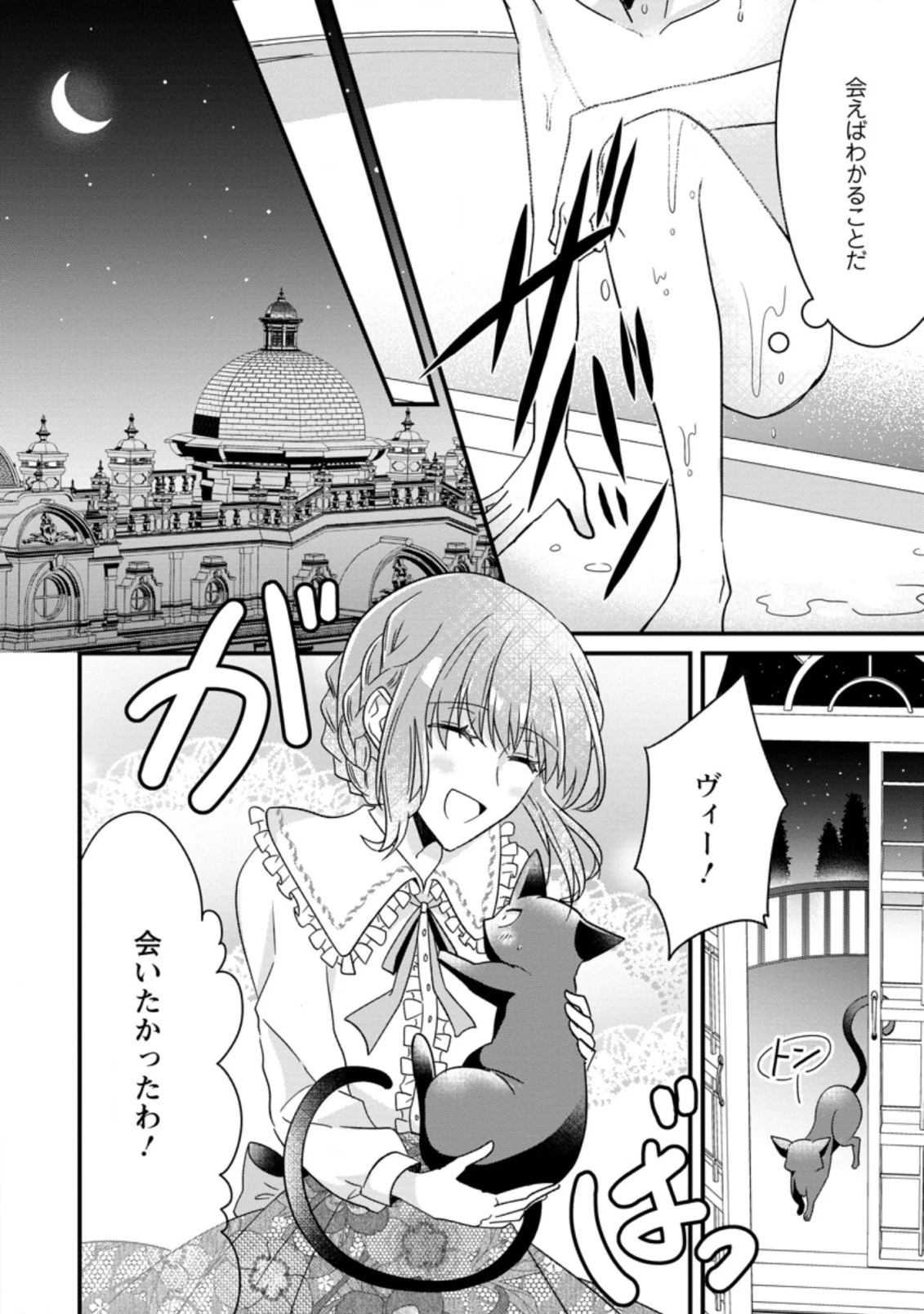 地味姫と黒猫の、円満な婚約破棄 第5話 - 8