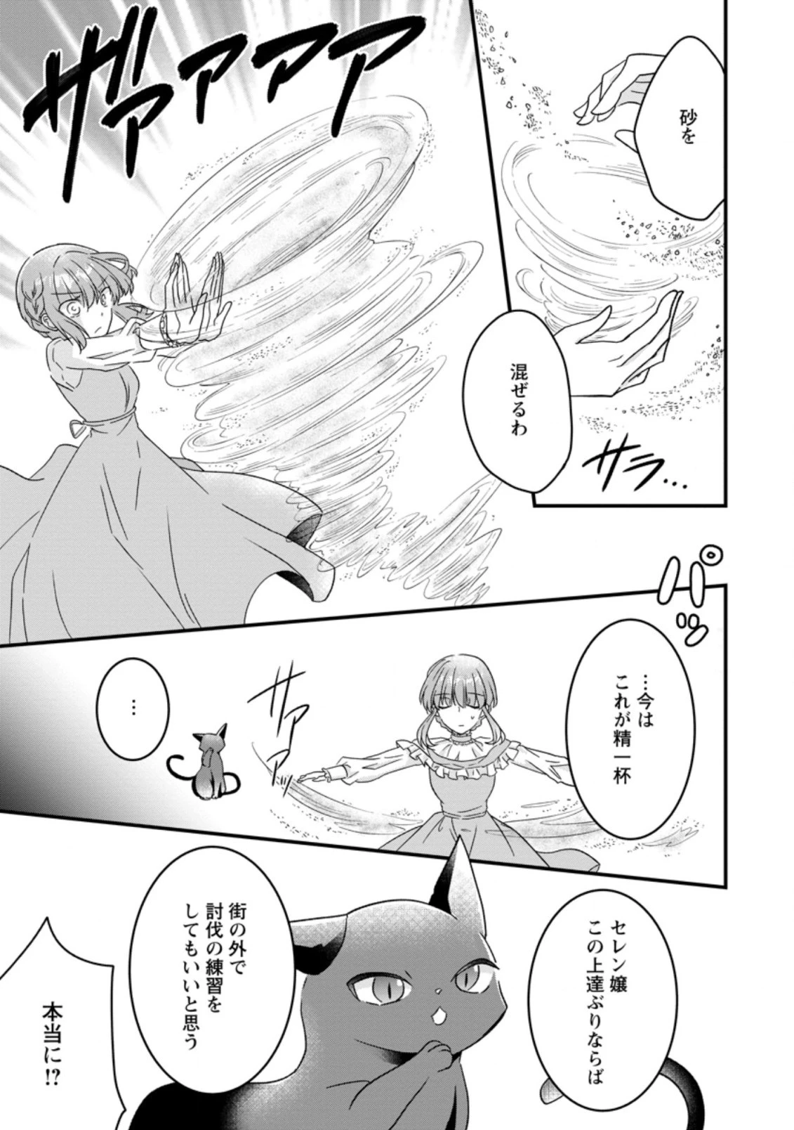 地味姫と黒猫の、円満な婚約破棄 第8話 - 3