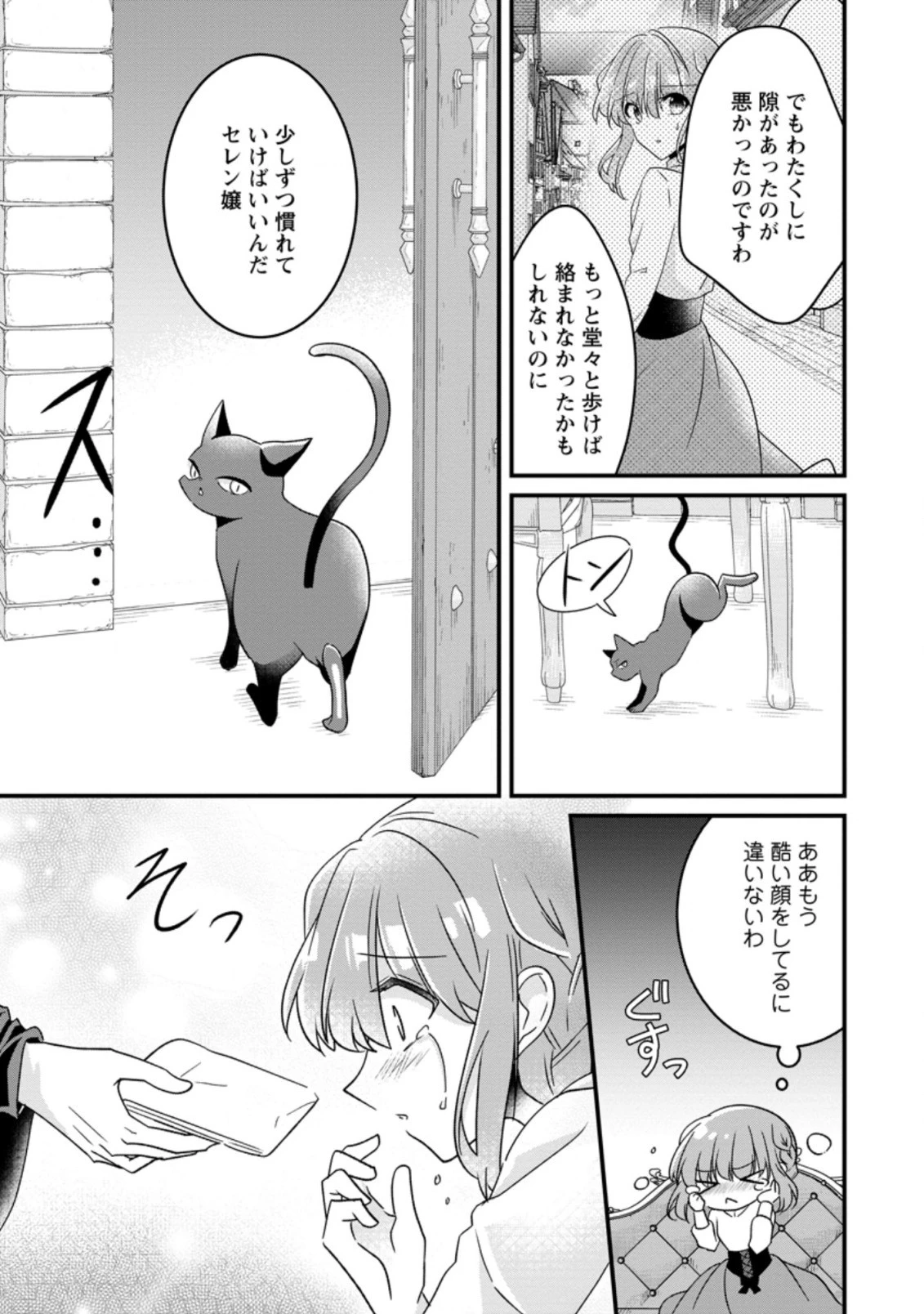 地味姫と黒猫の、円満な婚約破棄 第9話 - 7