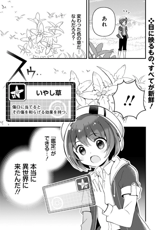 鑑定能力で調合師になります 第2話 - 1