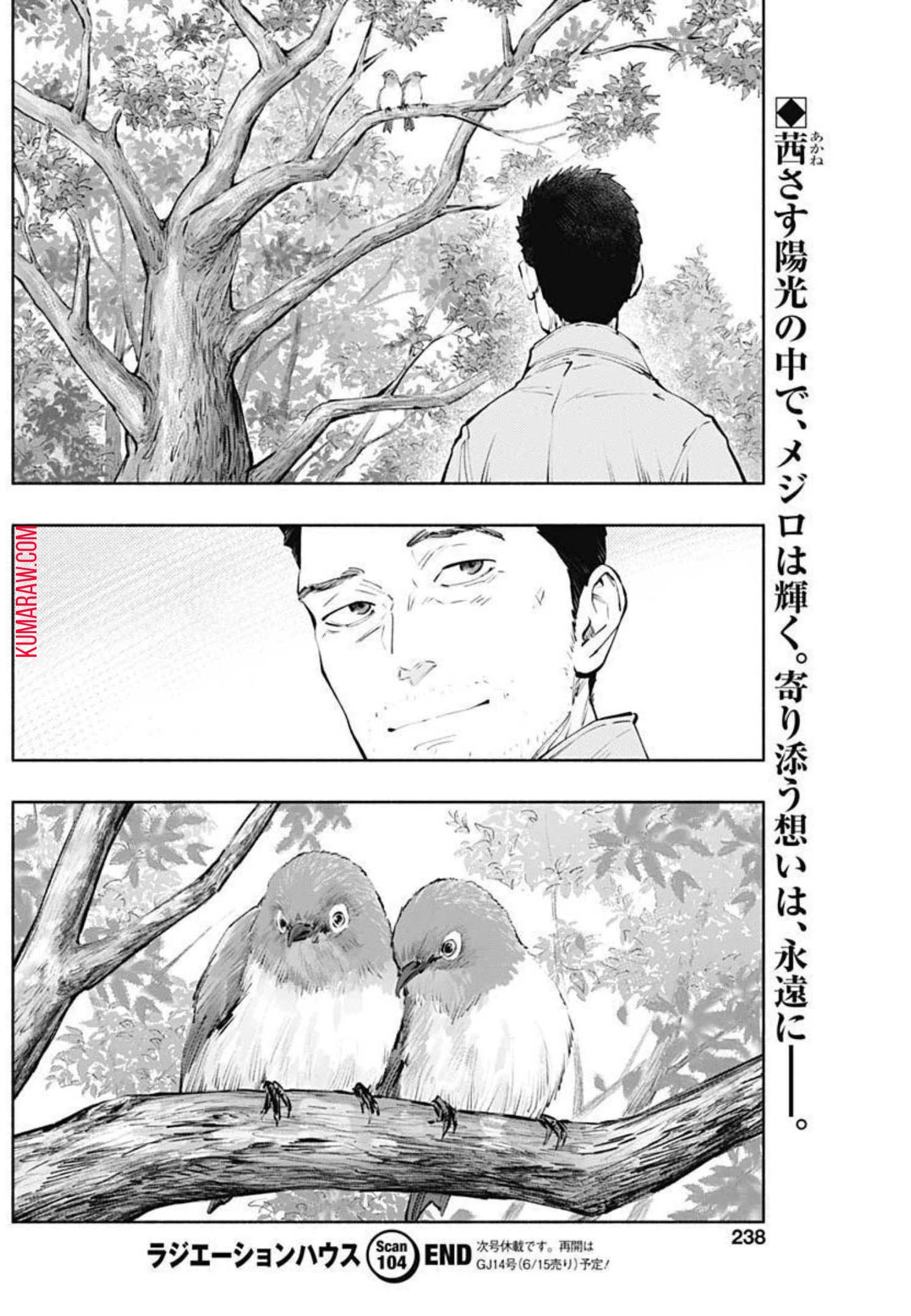 ラジエーションハウス 第104話 - 20