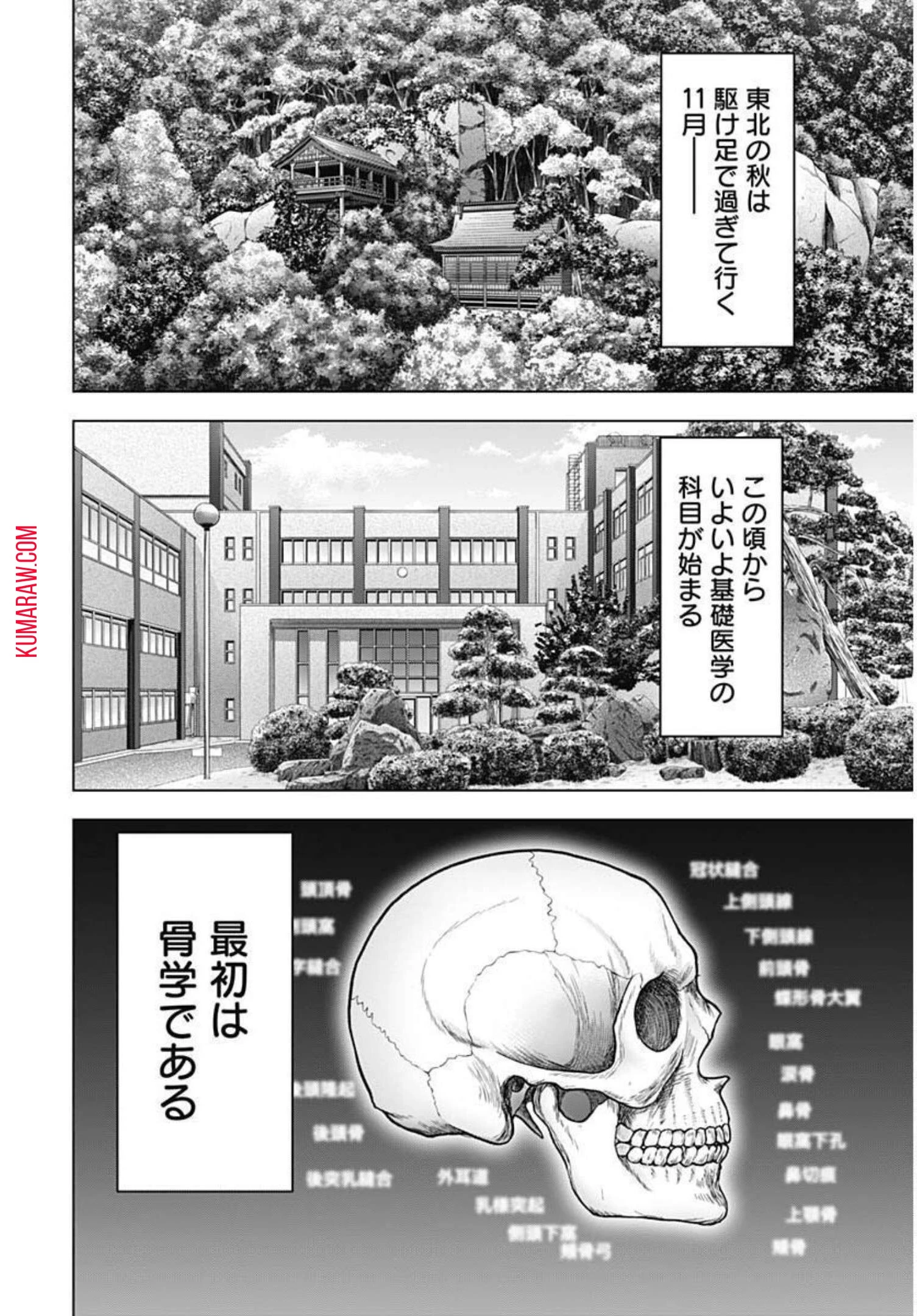ドクターエッグス 第5話 - 4