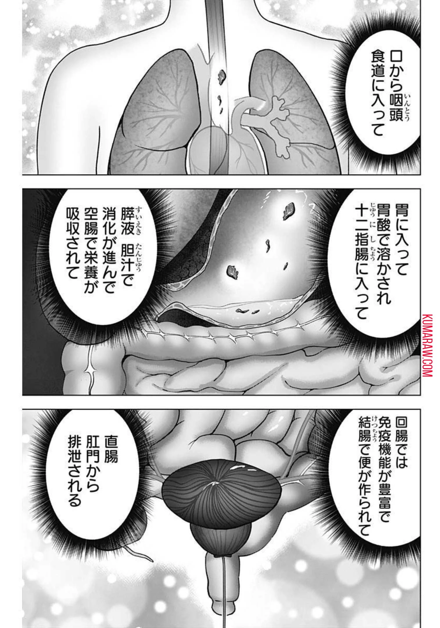 ドクターエッグス 第21話 - 5