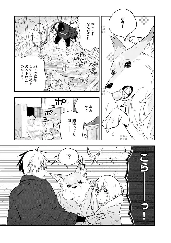婚約破棄された令嬢を拾った俺が、イケナイことを教え込む　〜美味しいものを食べさせておしゃれをさせて、世界一幸せな少女にプロデュース！〜 第33話 - 12