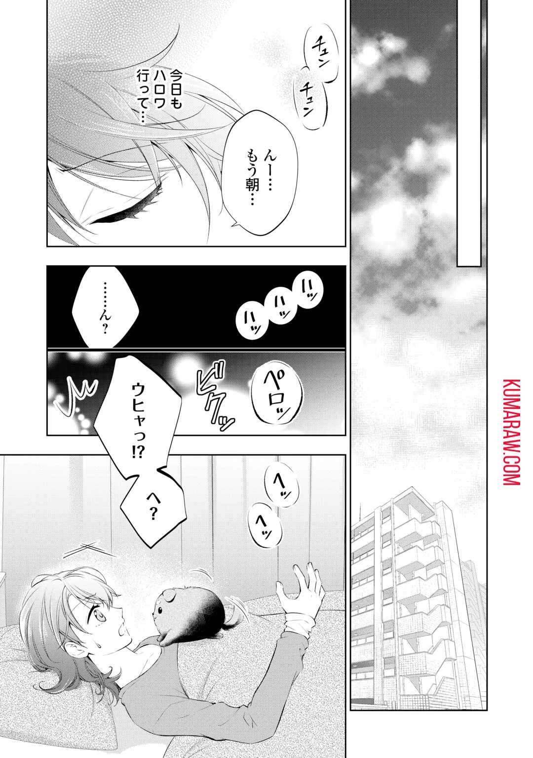 毒親に復讐したい悪役令嬢は、契約婚約した氷の貴公子に溺愛される 第1話 - 21