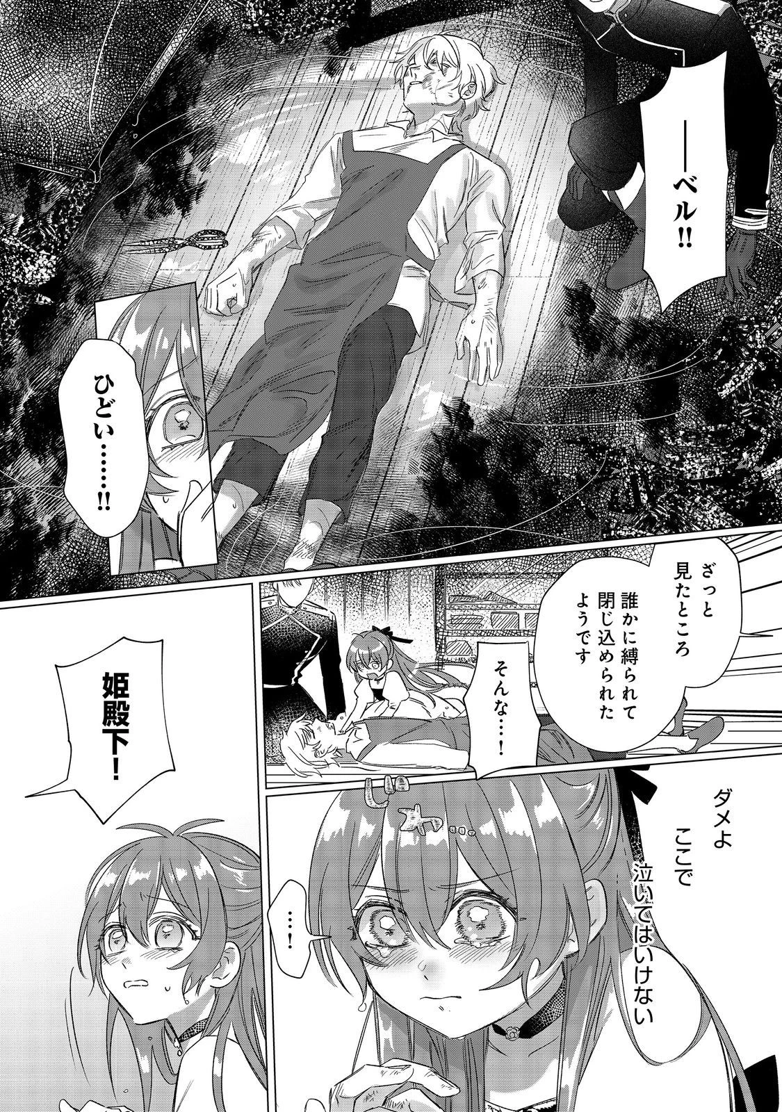 ポンコツ王太子のモブ姉王女らしいけど、悪役令嬢が可哀想なので助けようと思います～王女ルートがない！？なら作ればいいのよ！～@COMIC 第9話 - 14