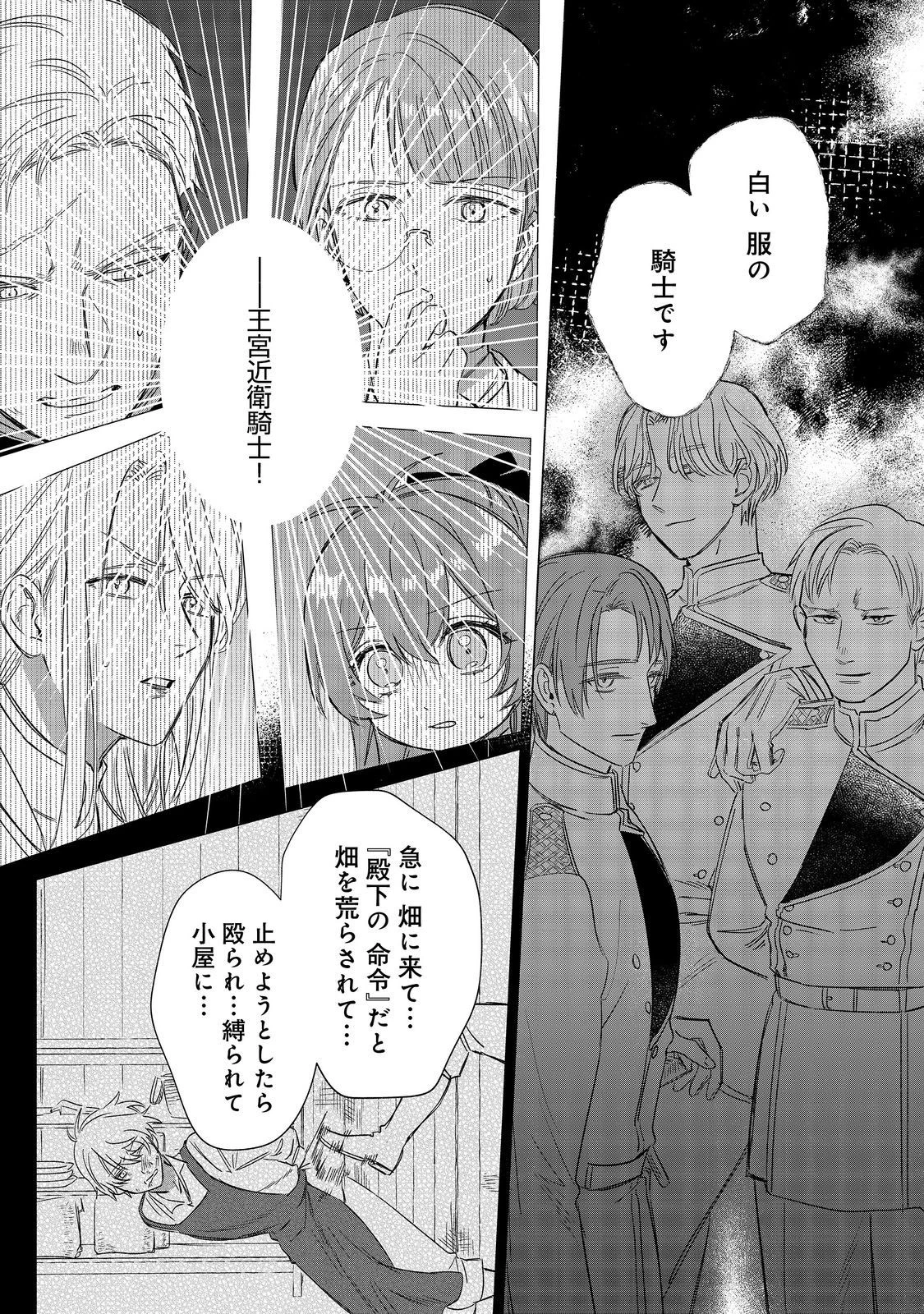 ポンコツ王太子のモブ姉王女らしいけど、悪役令嬢が可哀想なので助けようと思います～王女ルートがない！？なら作ればいいのよ！～@COMIC 第9話 - 18