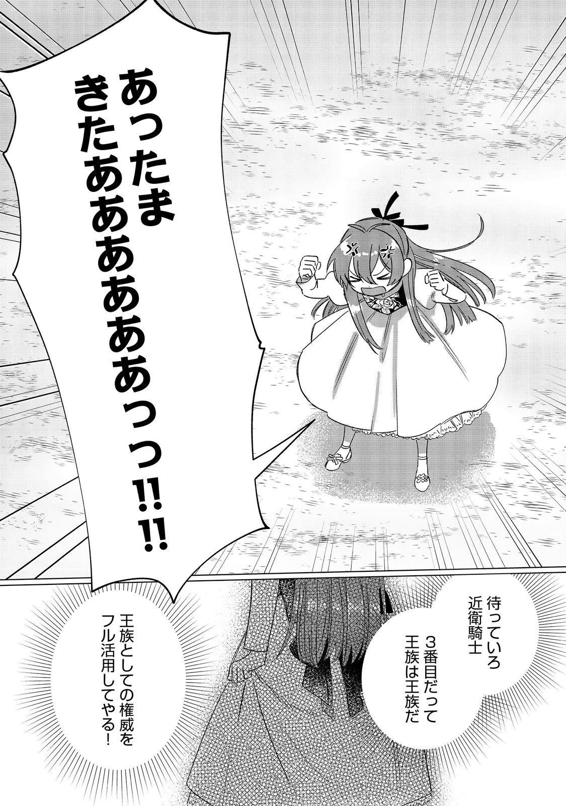 ポンコツ王太子のモブ姉王女らしいけど、悪役令嬢が可哀想なので助けようと思います～王女ルートがない！？なら作ればいいのよ！～@COMIC 第9話 - 22