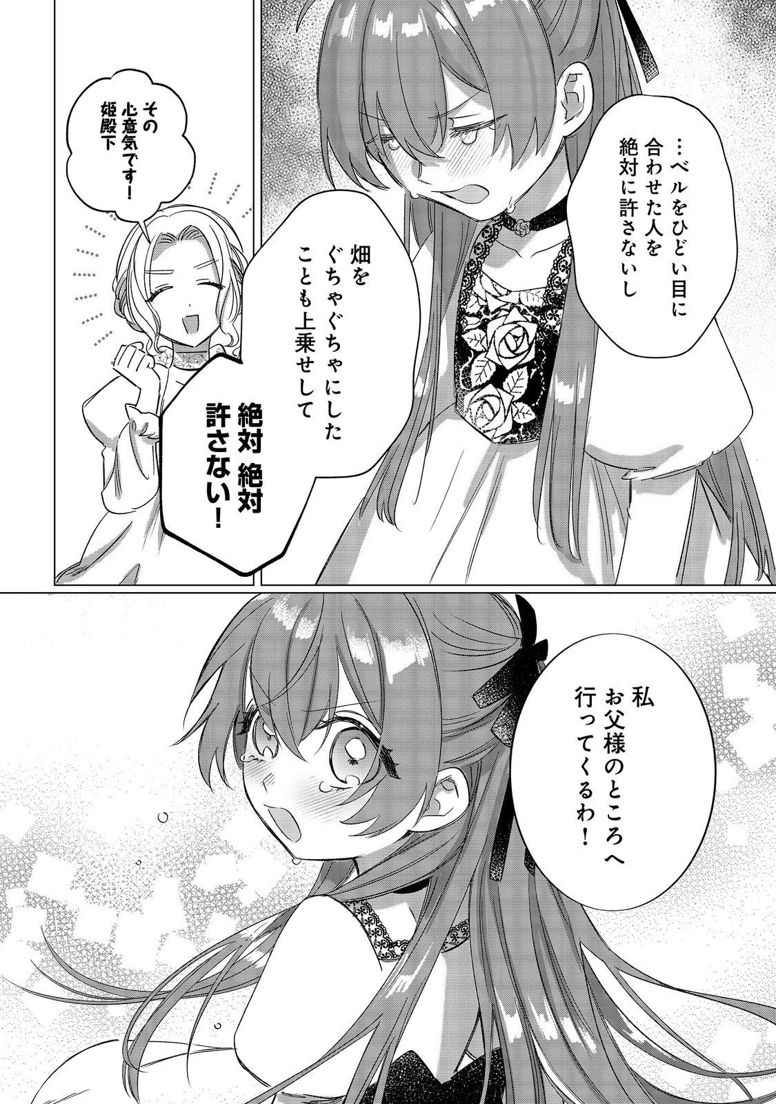 ポンコツ王太子のモブ姉王女らしいけど、悪役令嬢が可哀想なので助けようと思います～王女ルートがない！？なら作ればいいのよ！～@COMIC 第9話 - 30