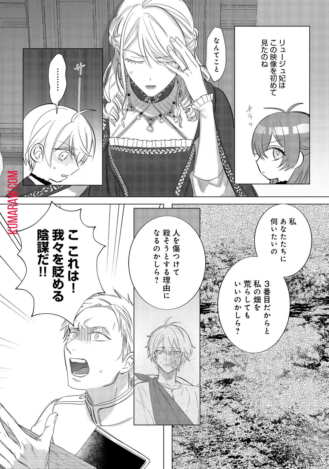 ポンコツ王太子のモブ姉王女らしいけど、悪役令嬢が可哀想なので助けようと思います～王女ルートがない！？なら作ればいいのよ！～@COMIC 第12話 - 16