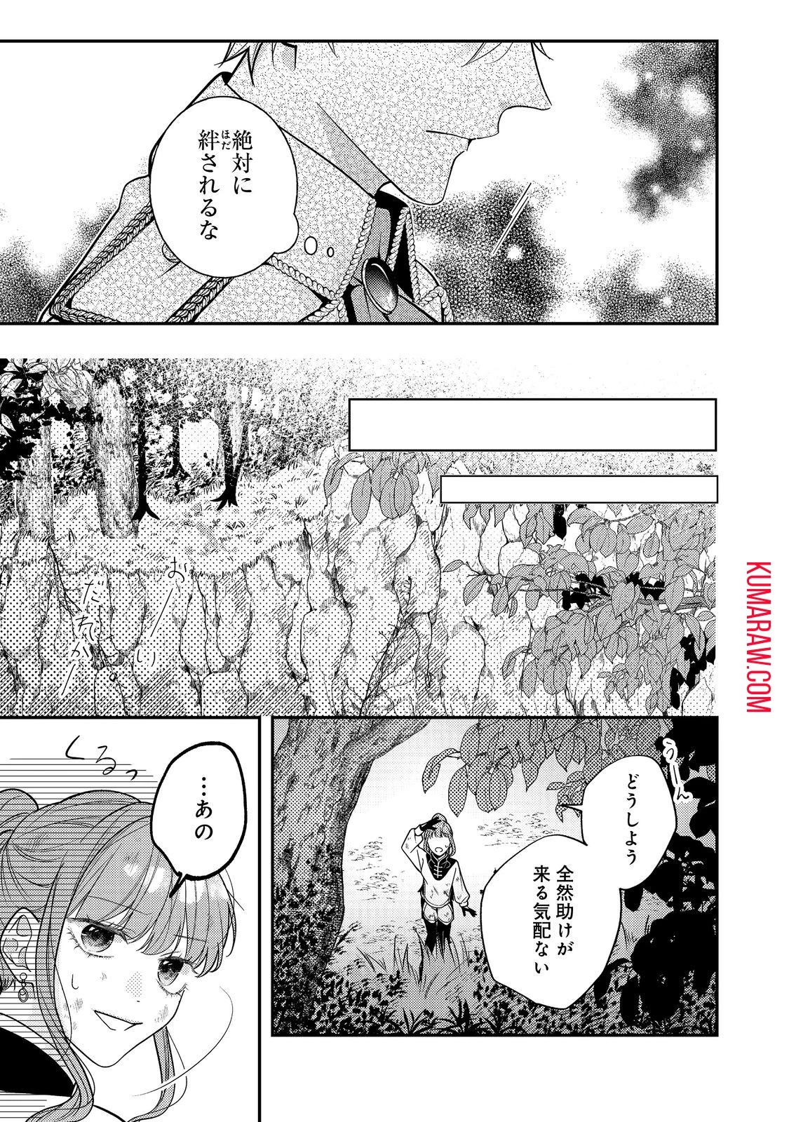 バッドエンド目前のヒロインに転生した私、今世では恋愛するつもりがチートな兄が離してくれません!? 第17話 - 27